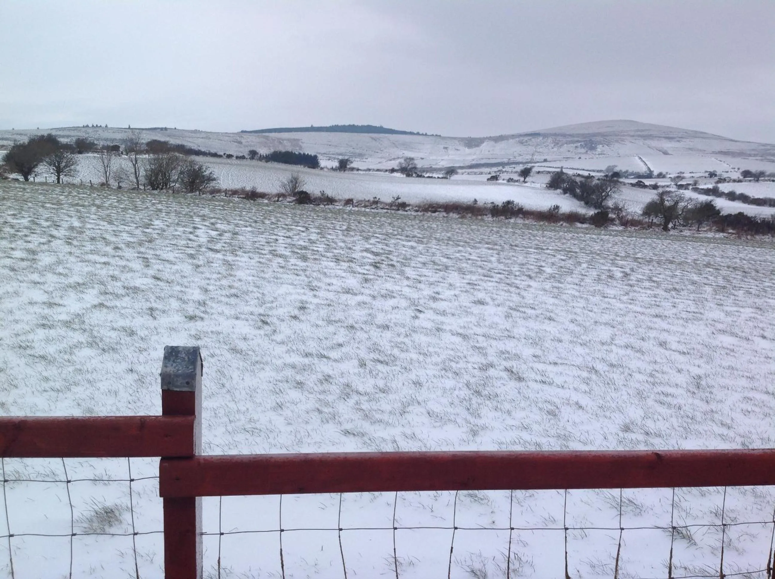 Property building in Brynhaul Bed and Breakfast