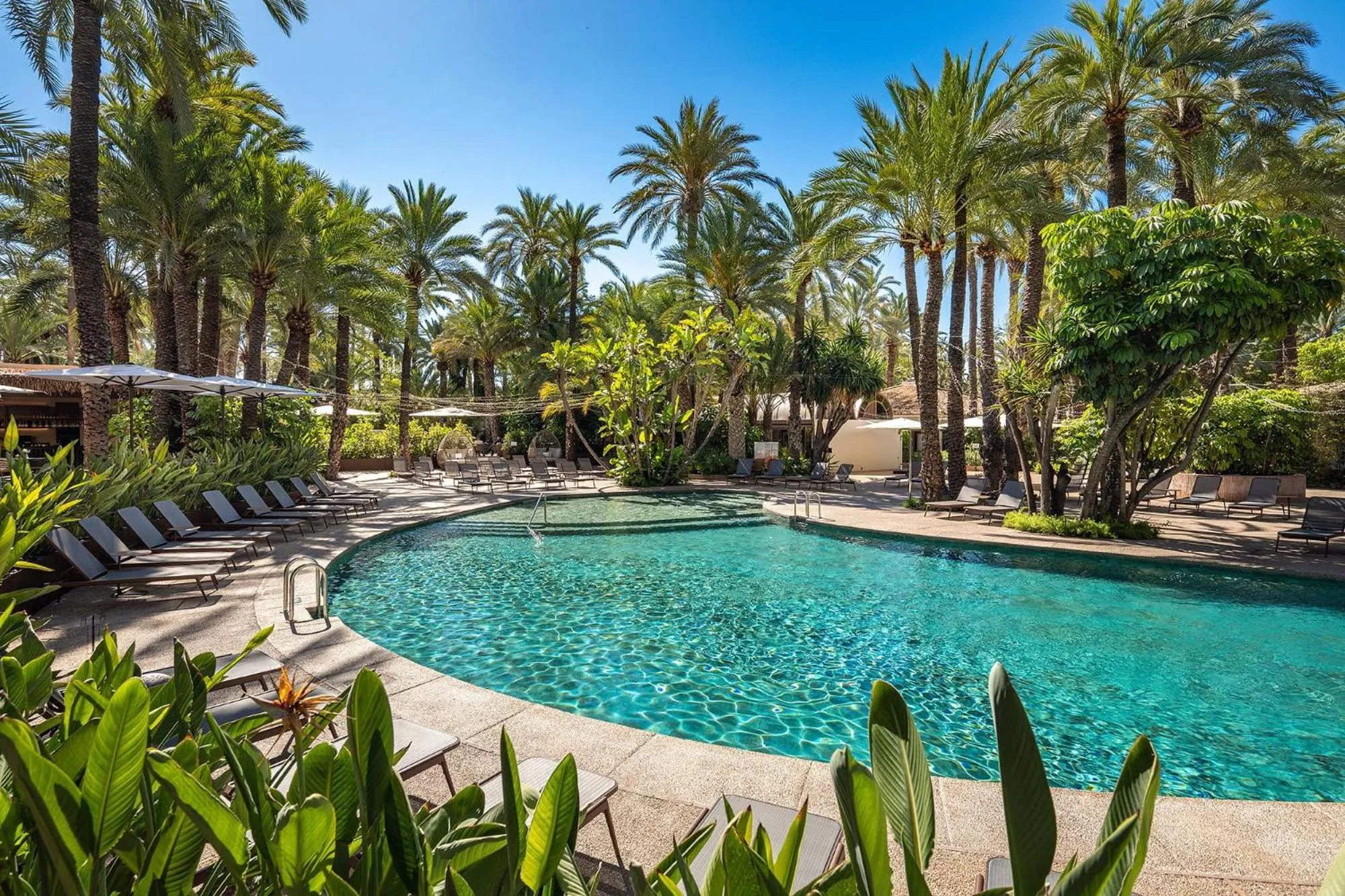 Swimming pool in Hotel Huerto del Cura