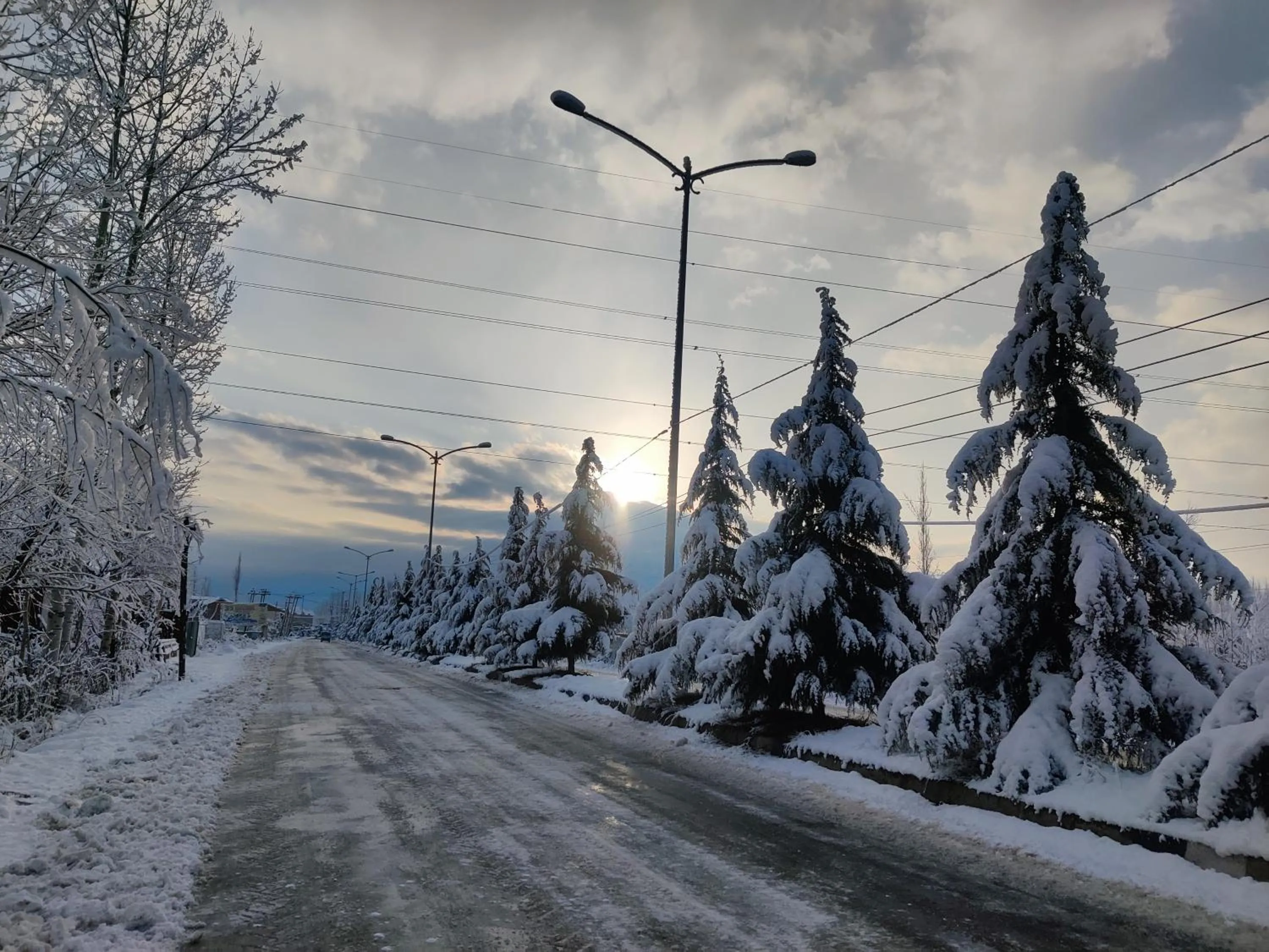 Neighbourhood in Kashmir Homestay