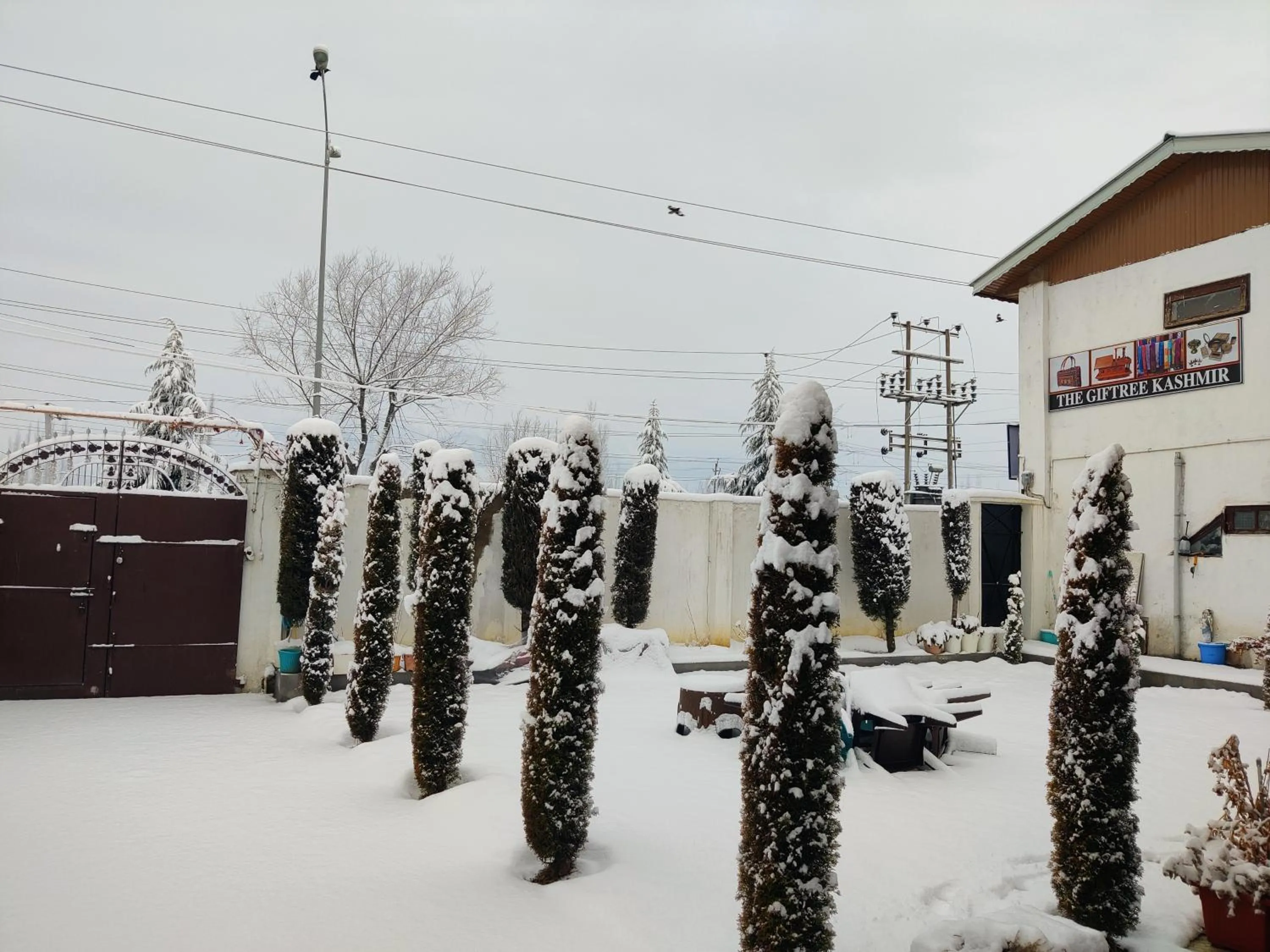 Garden view in Kashmir Homestay