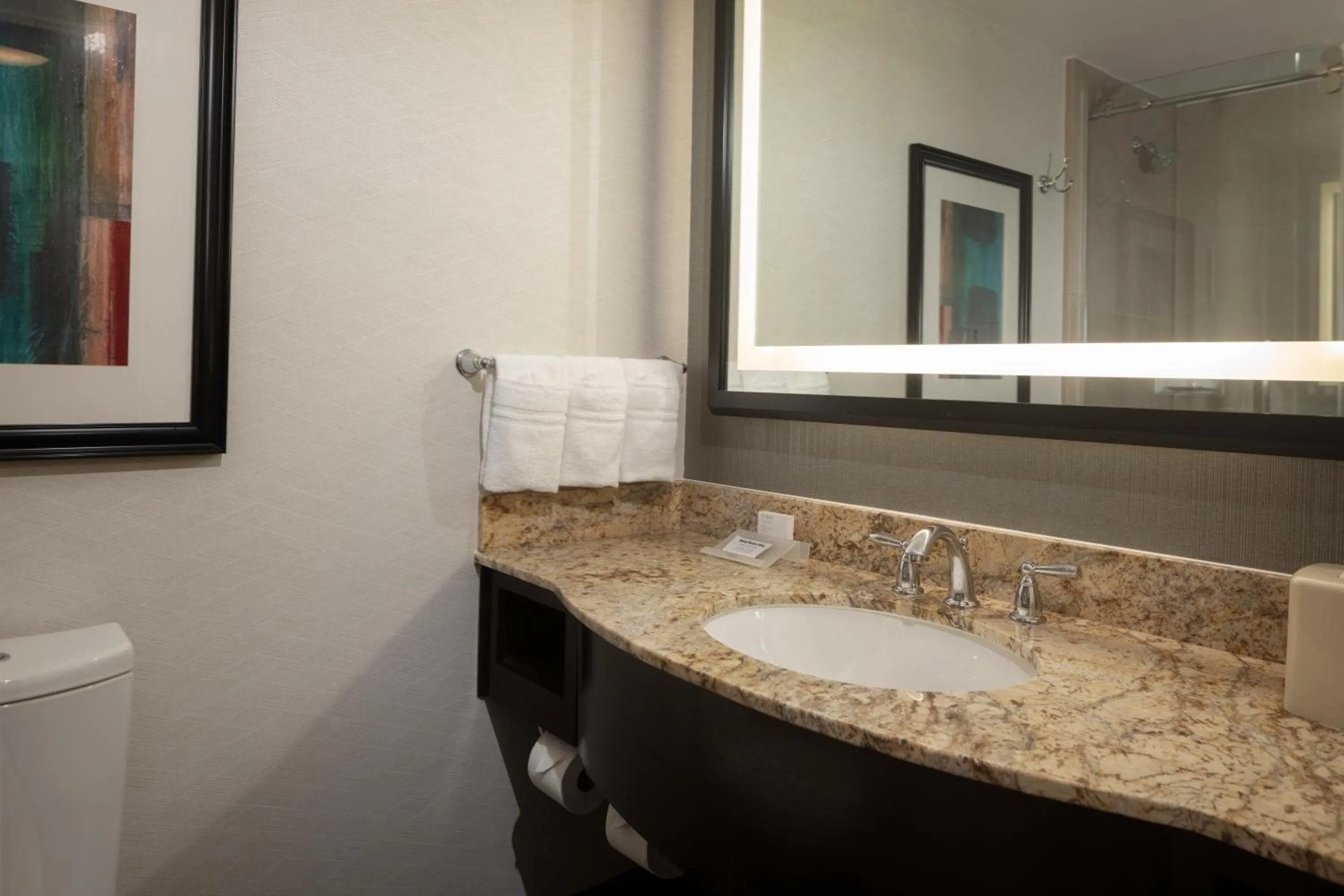 Bathroom in Hilton Garden Inn Washington DC/Georgetown Area