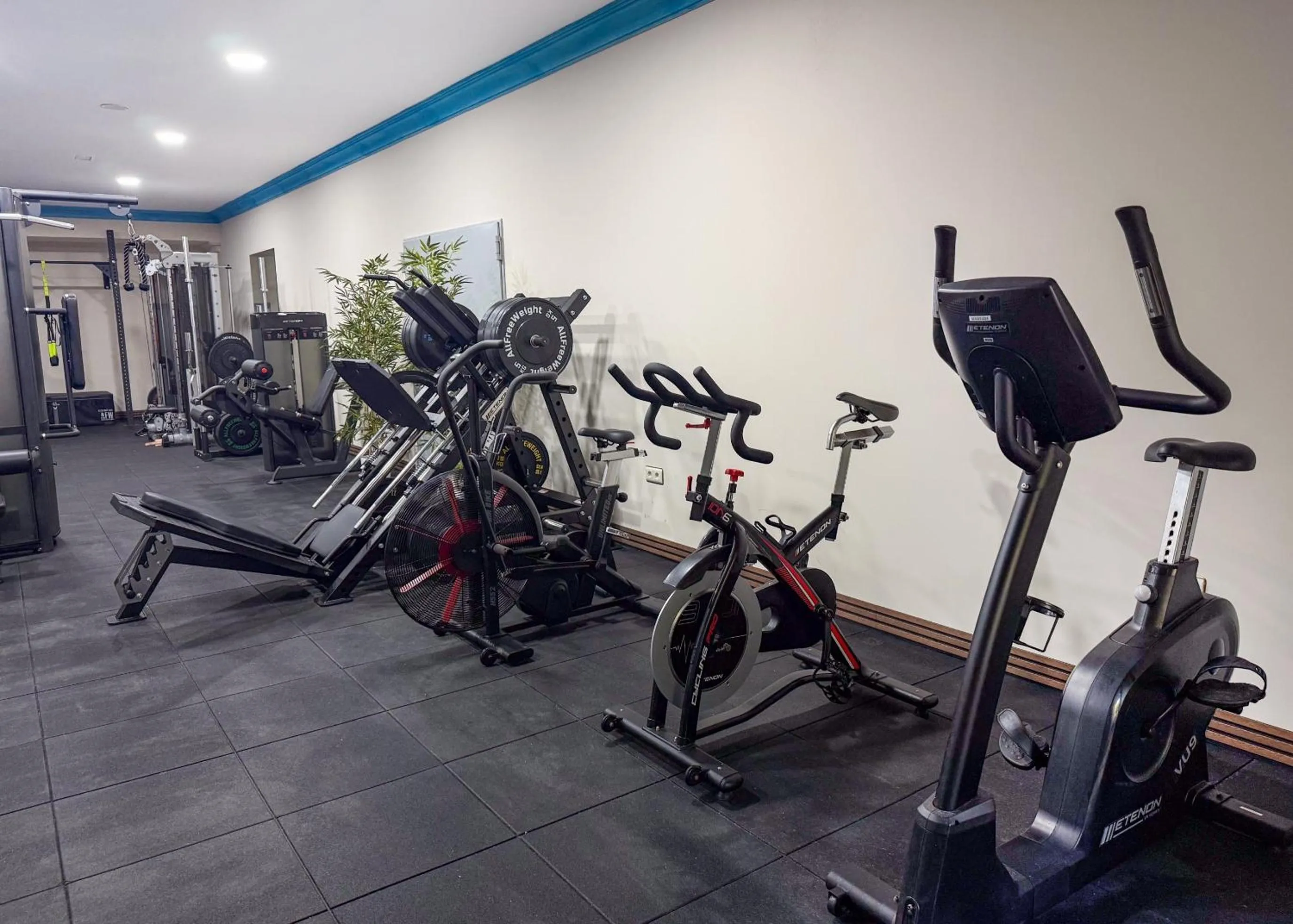 Fitness centre/facilities in Europe Villa Cortes GL
