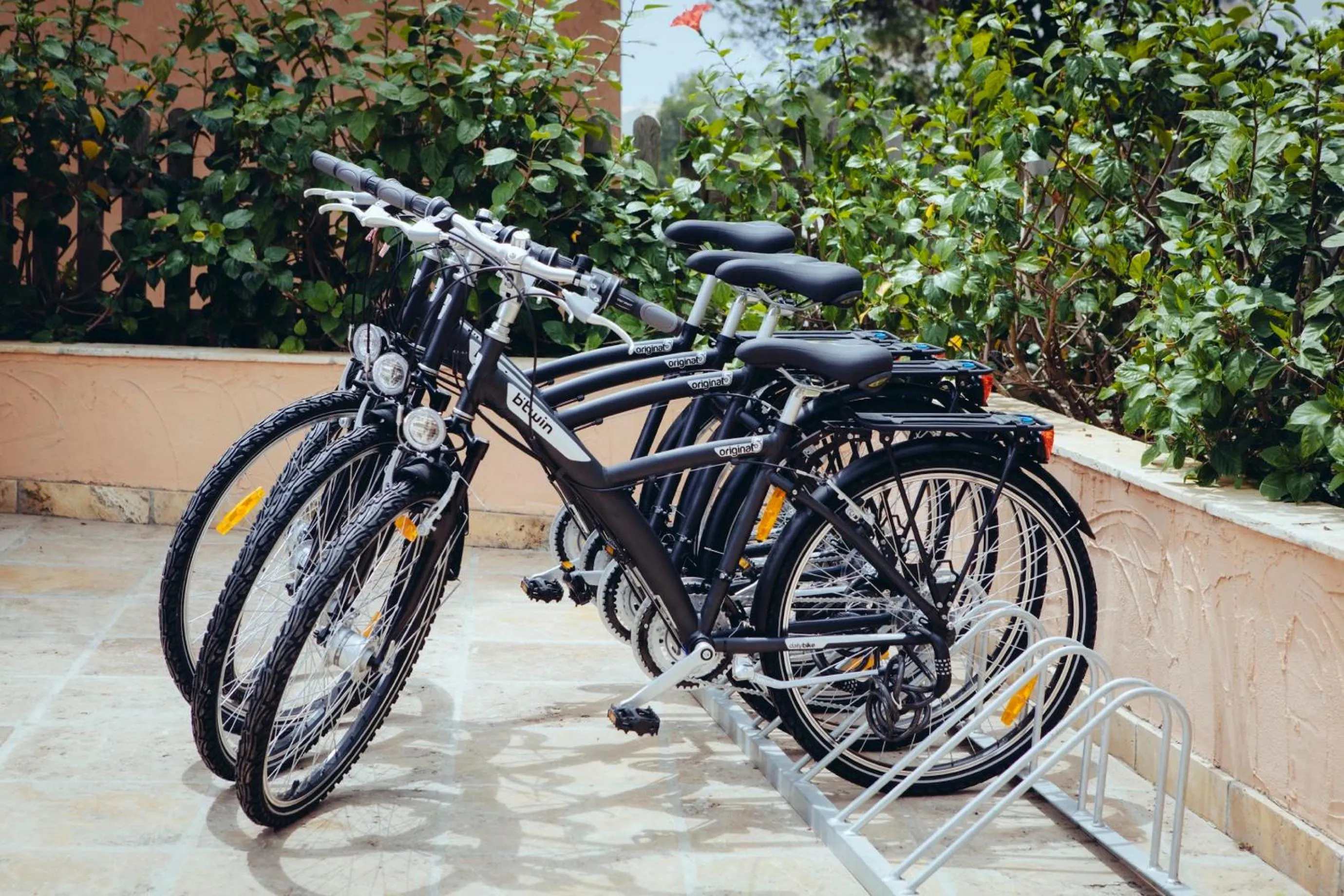 Cycling in Europe Playa Marina - Adults Only