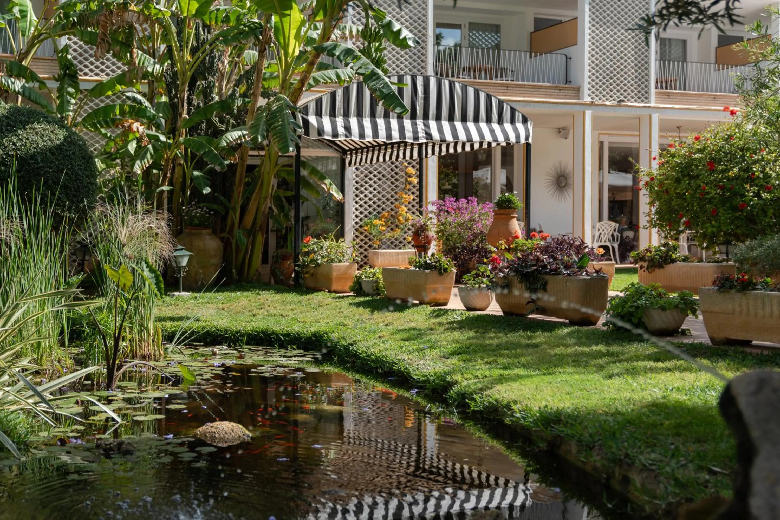 Garden in Hotel Araxa - Adults Only