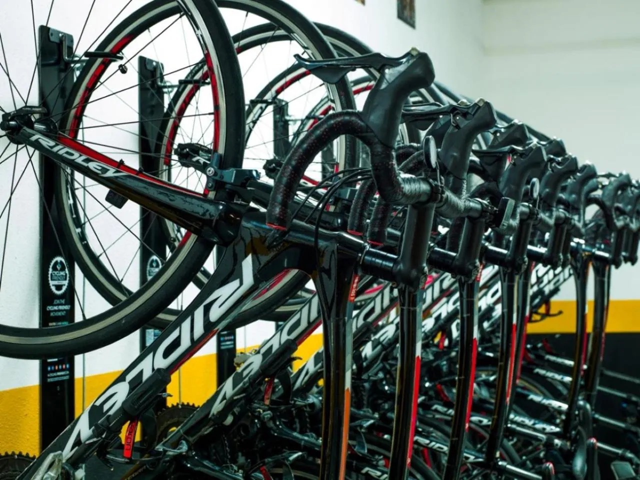 Cycling in H10 Estepona Palace