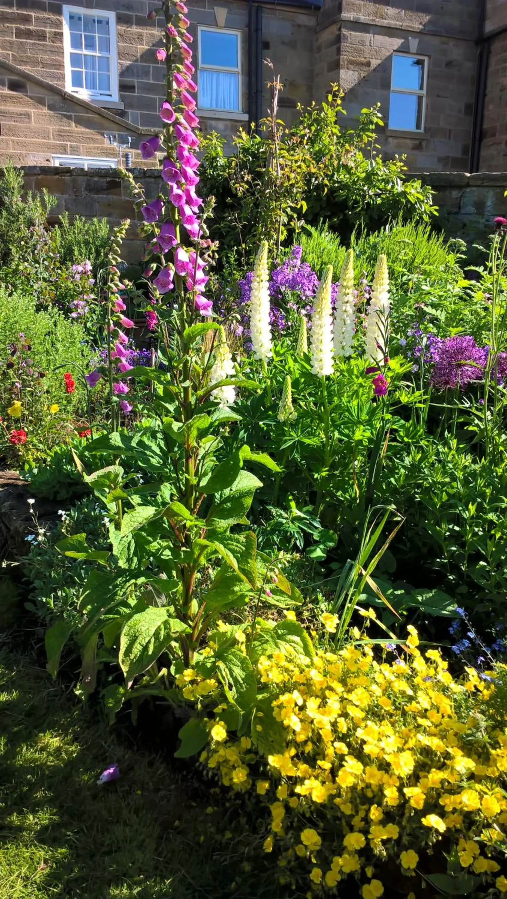 Garden in Thorpe Green House Vegetarian Bed & Breakfast