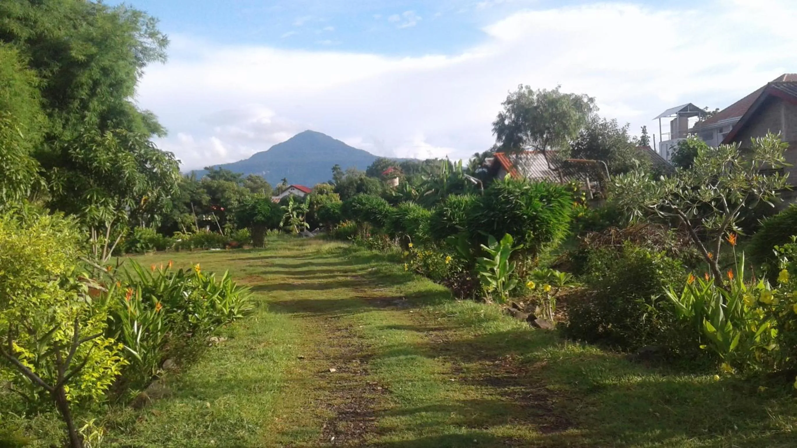 Garden view in Xuanmai Garden Resort