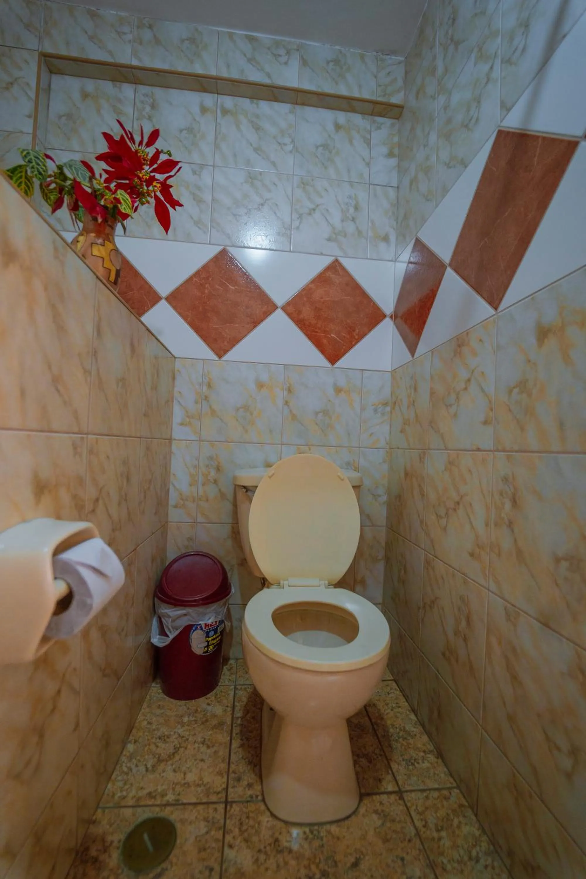 Yacumama Santa Teresa