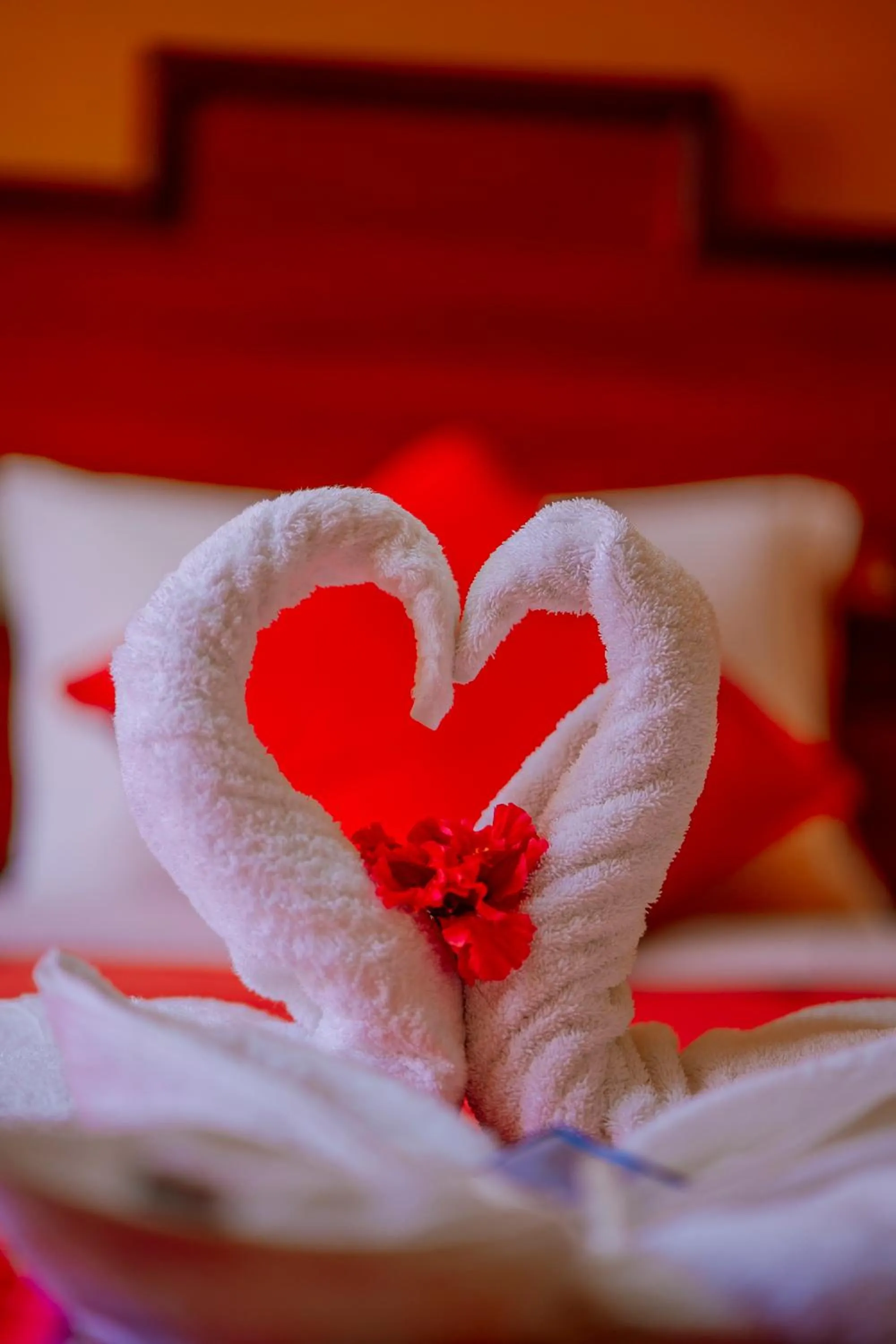 Bed in Yacumama Santa Teresa