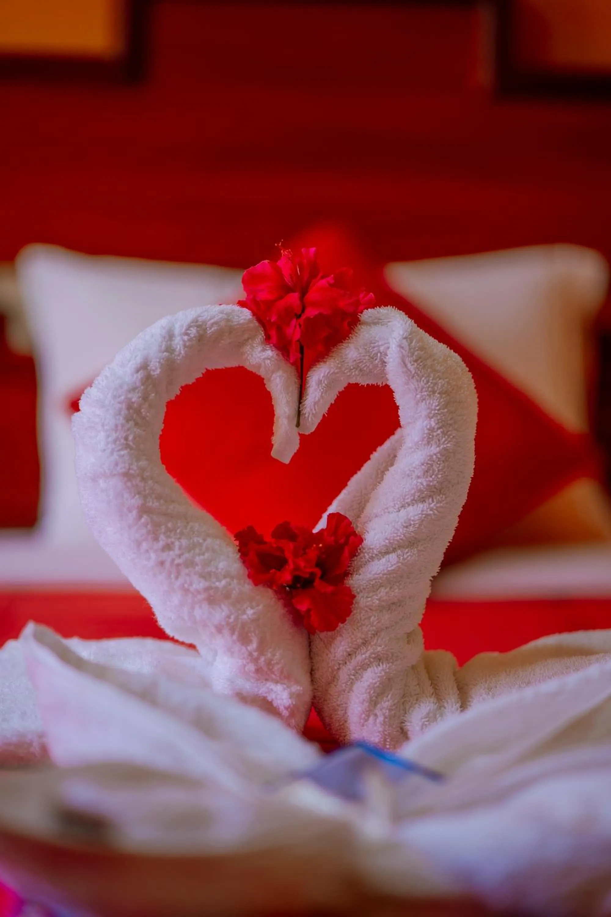 Bed in Yacumama Santa Teresa