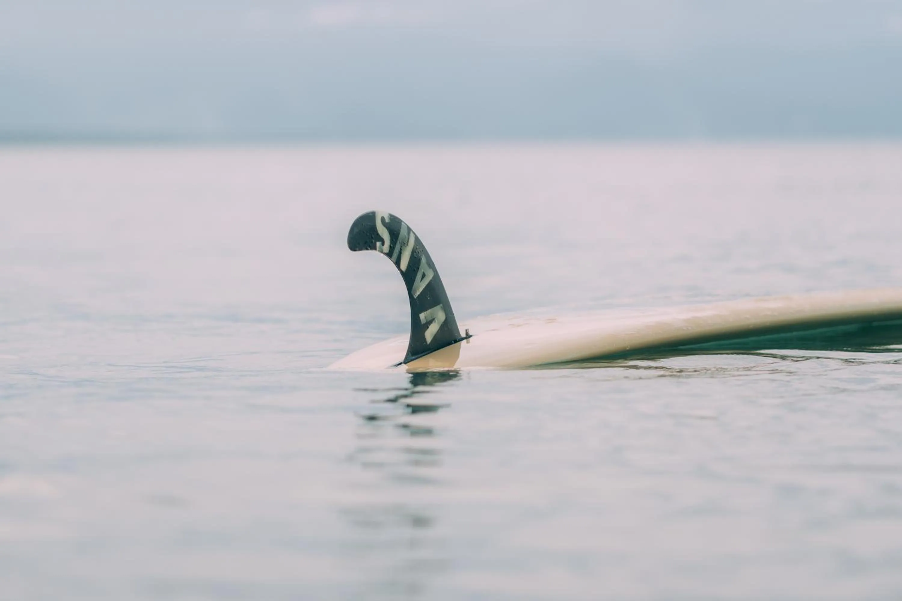 Activities in Bay's Inn Resort