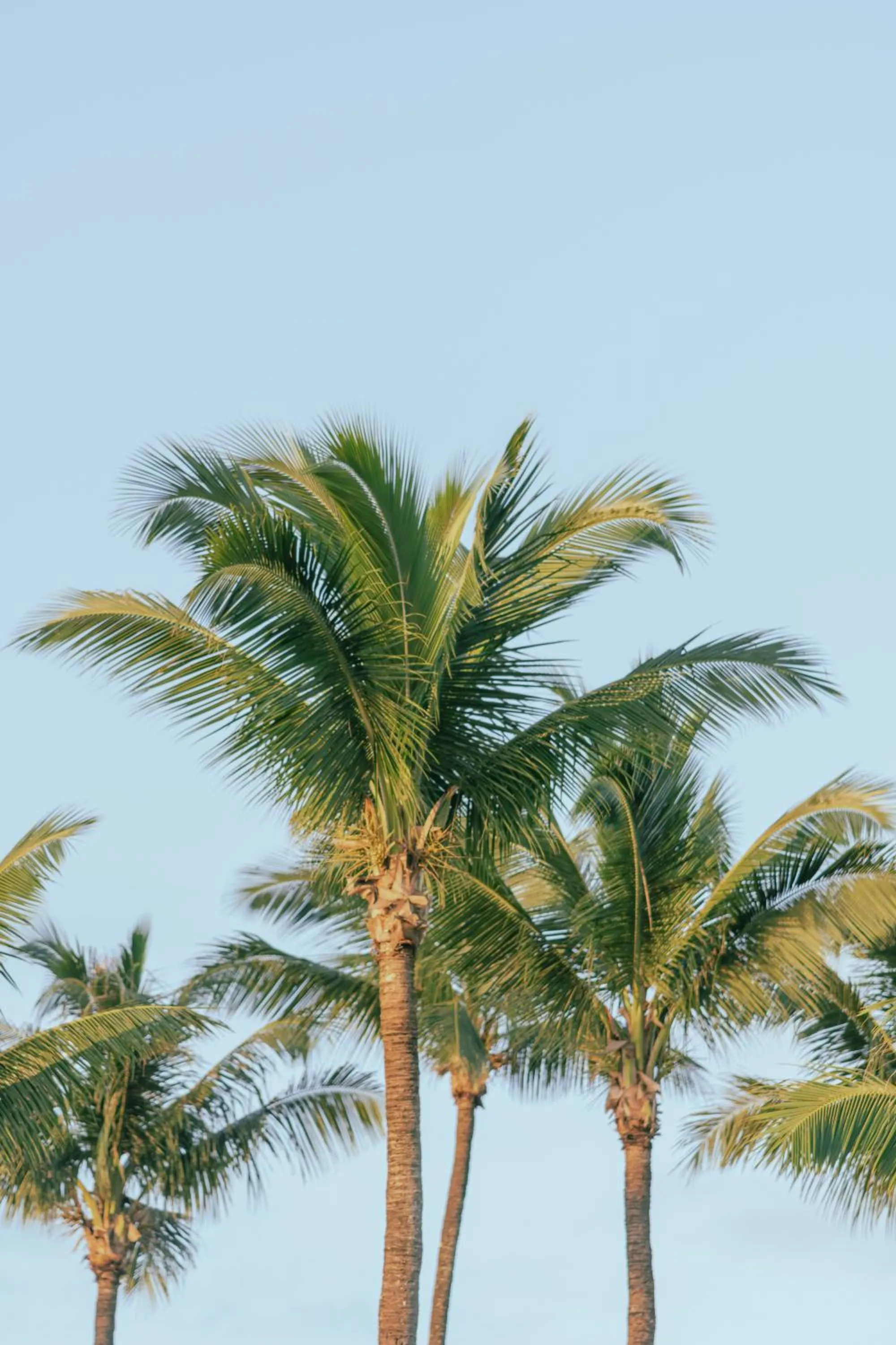 Natural landscape in Bay's Inn Resort