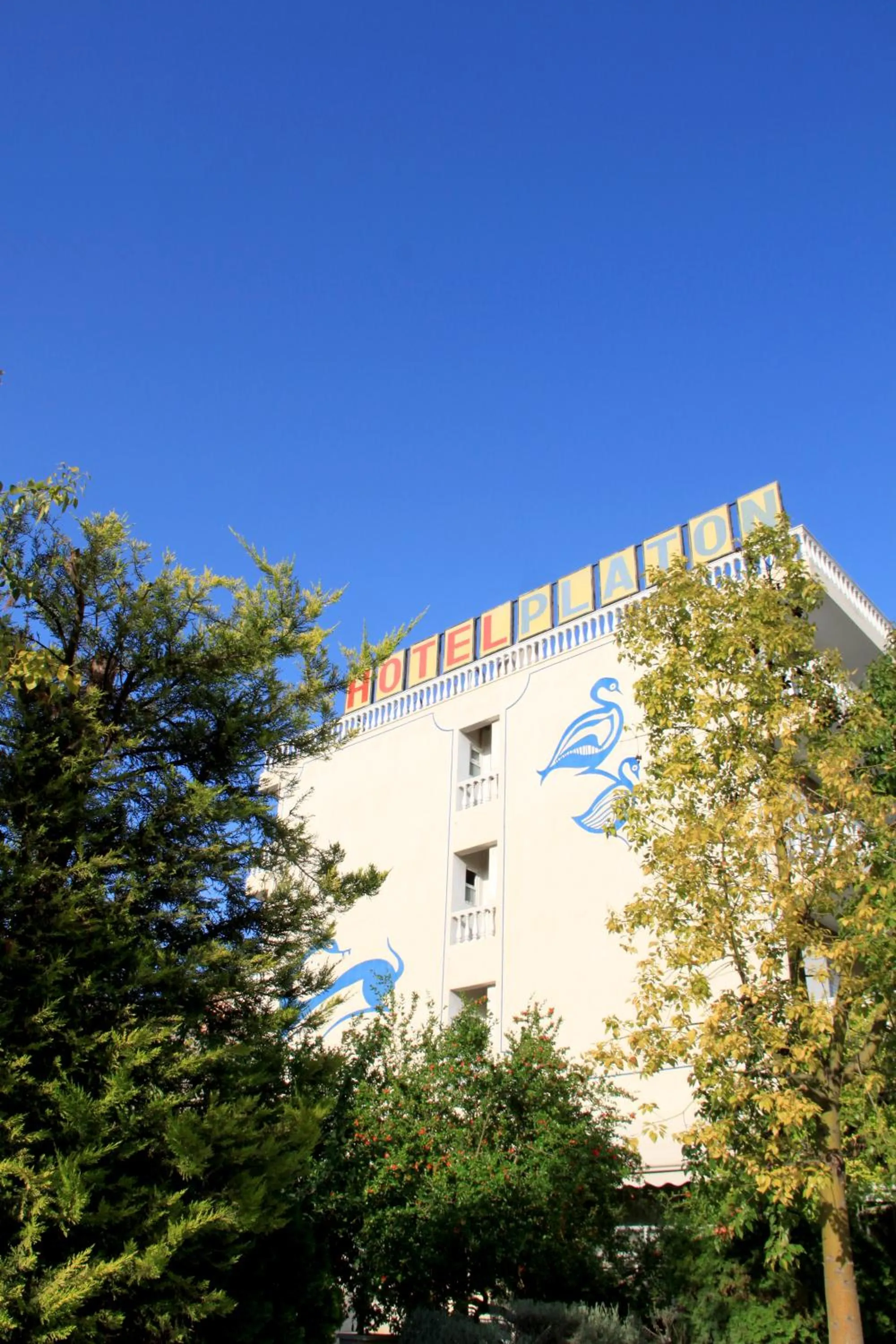 Facade/entrance in Hotel Platon