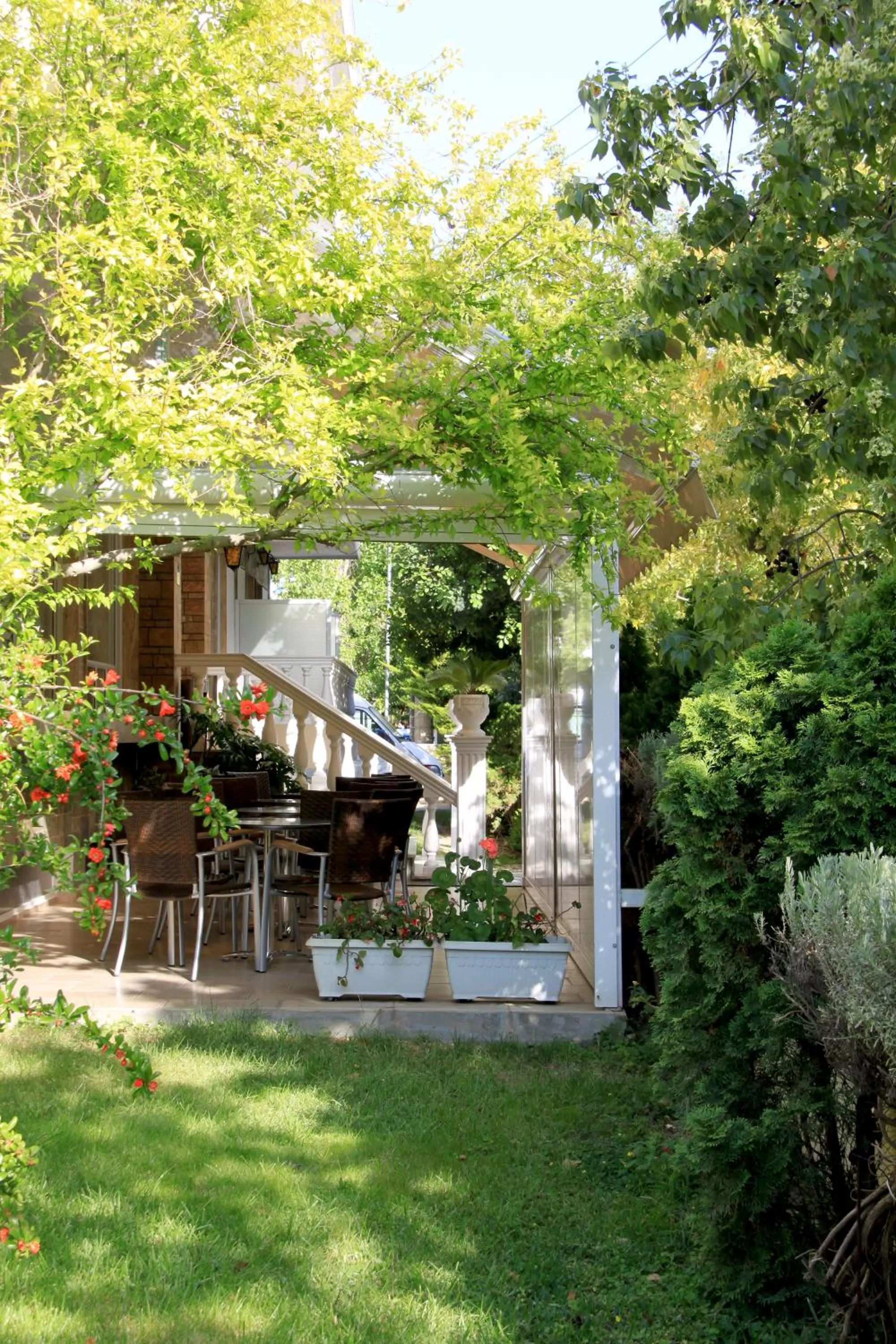 Garden in Hotel Platon
