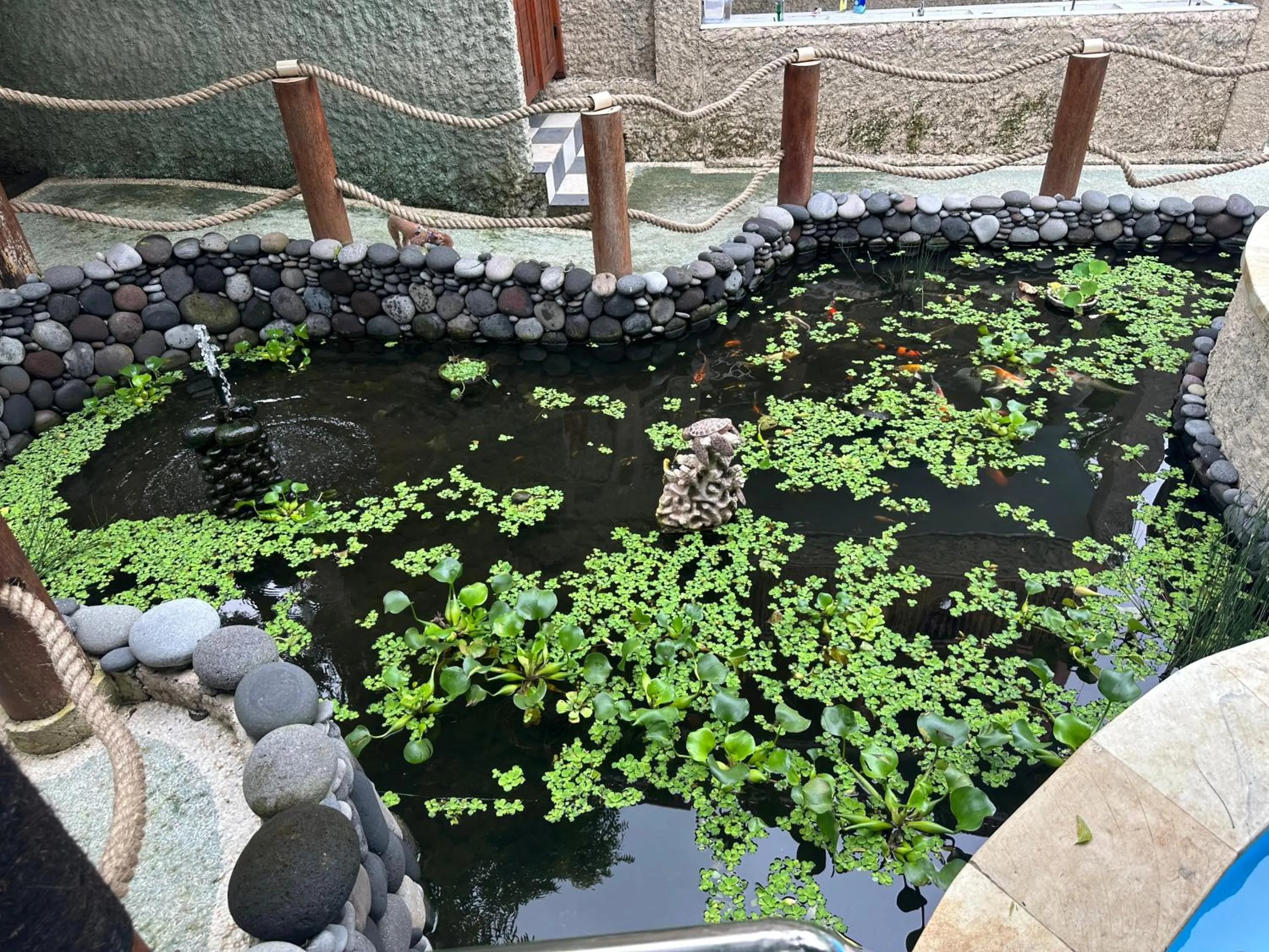 Property building in Lunar Dive Resort: Bamboo Villas