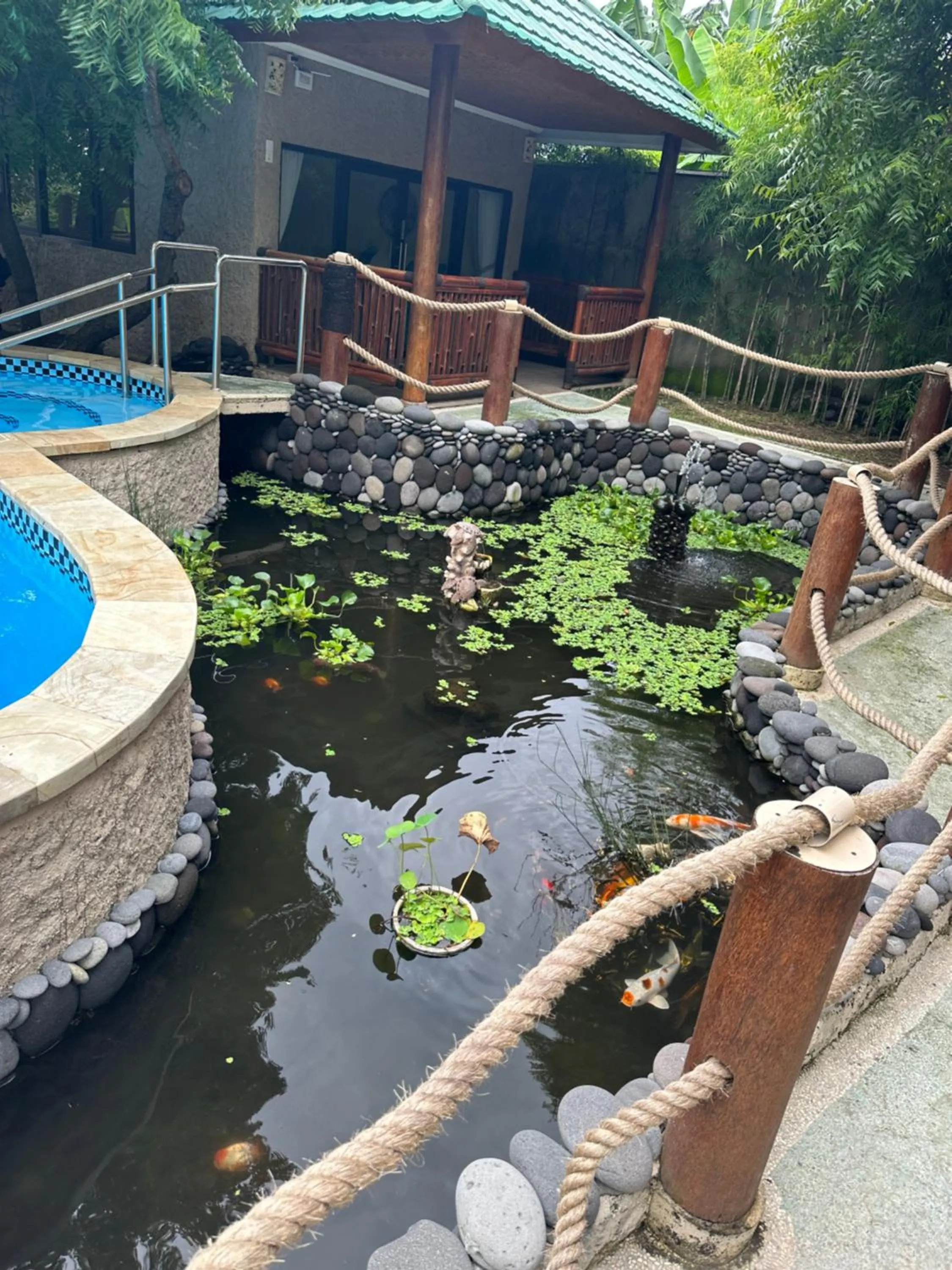 Property building in Lunar Dive Resort: Bamboo Villas