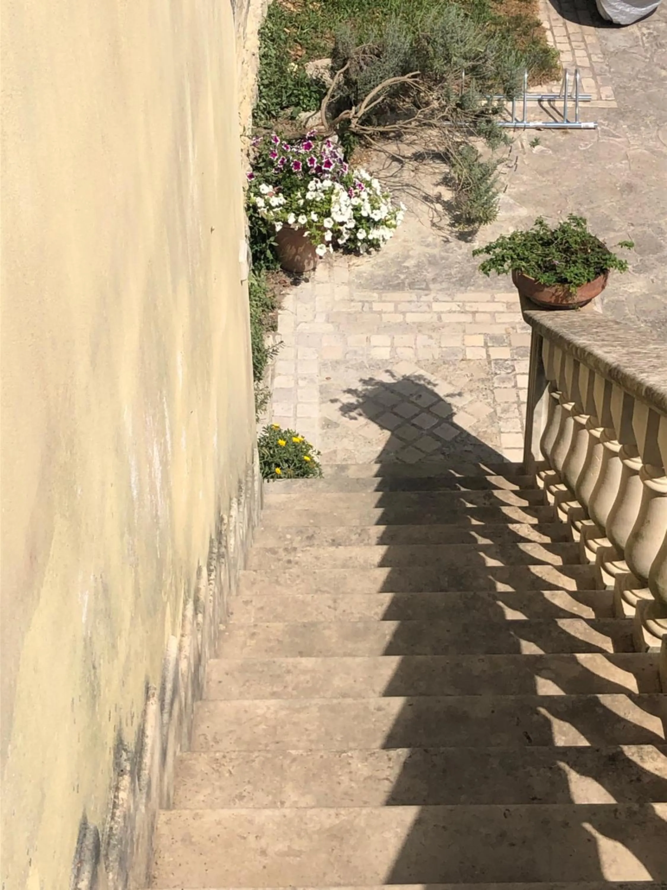 Garden view in B&B Villa Striari