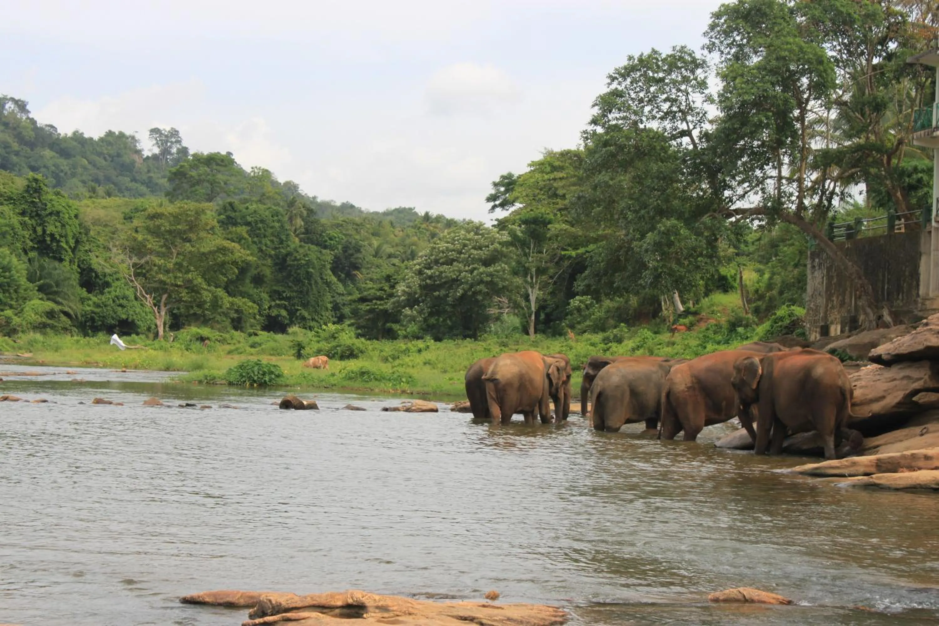 View (from property/room) in Hotel Pinnalanda - NEW DEAL! Exclusive Offers on Pickups Available!