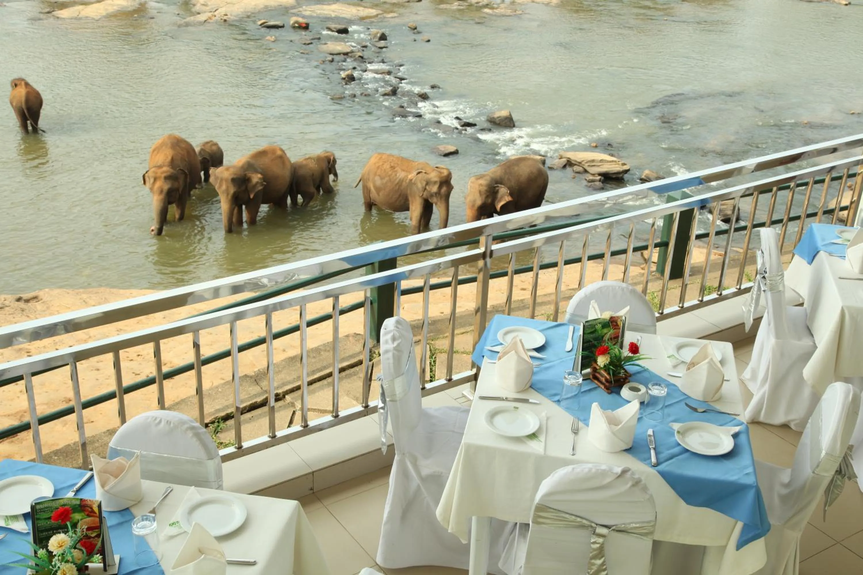 View (from property/room) in Hotel Pinnalanda - NEW DEAL! Exclusive Offers on Pickups Available!