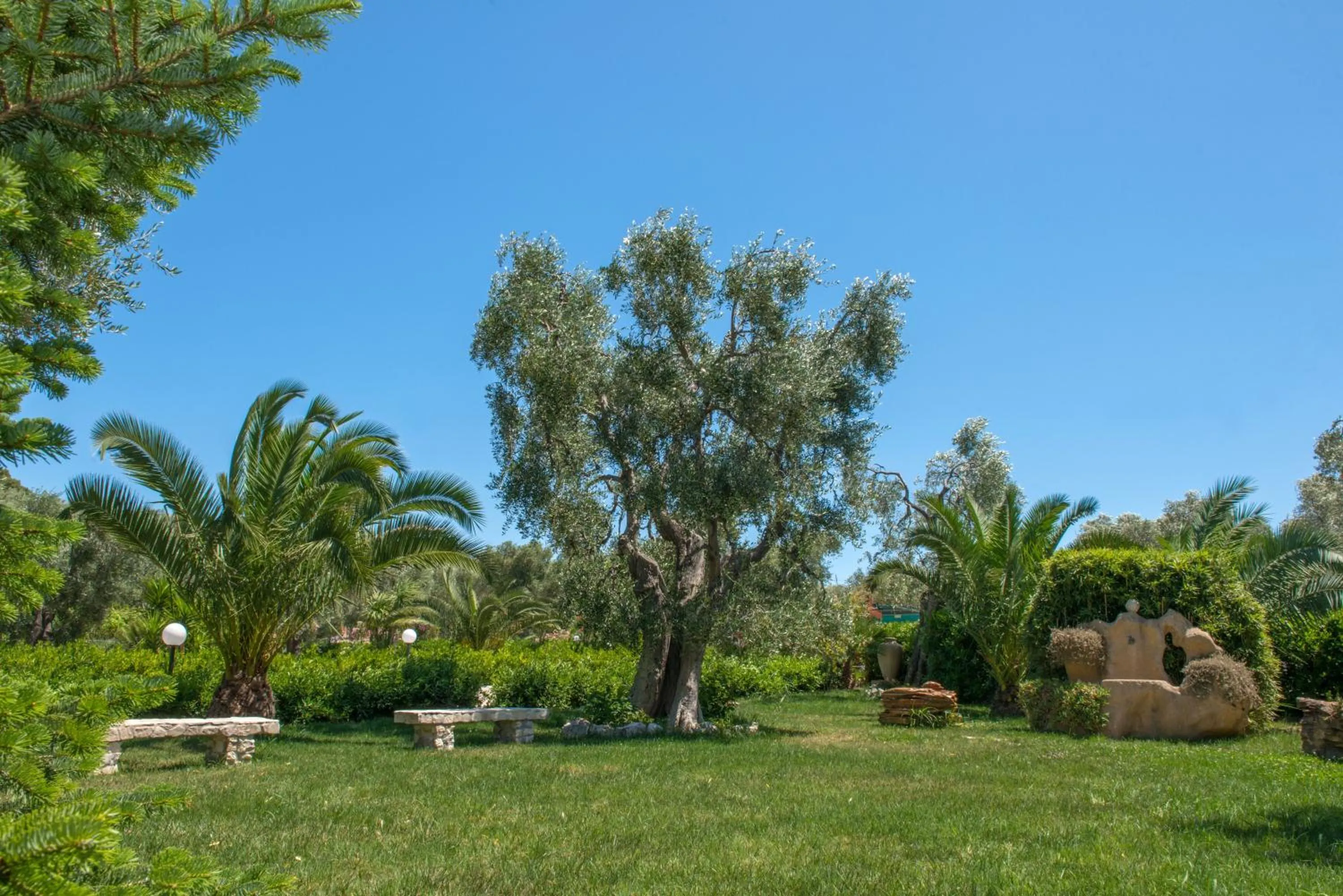 Garden in Villa Fenice Bed & Breakfast
