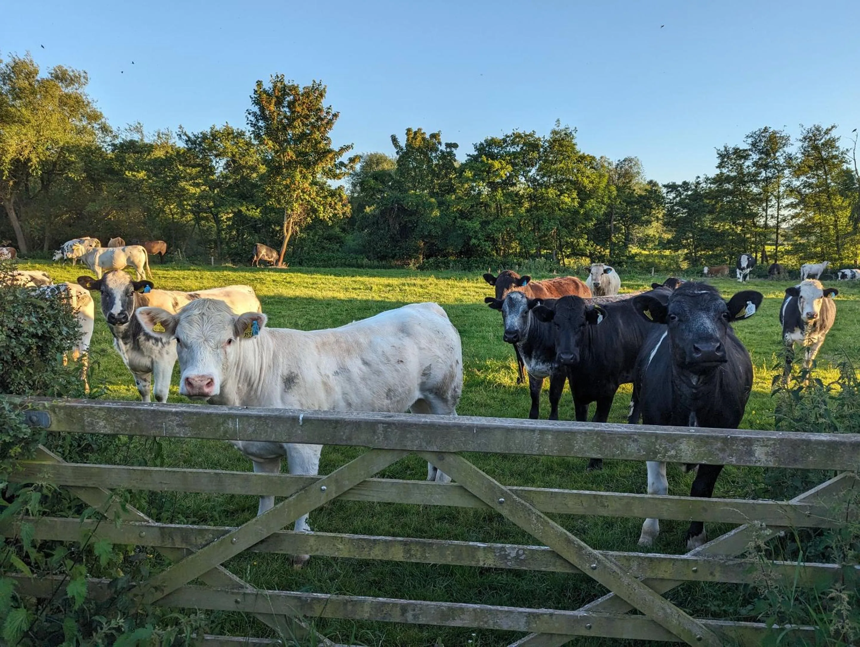 View (from property/room) in The Agents House, Bed & Breakfast