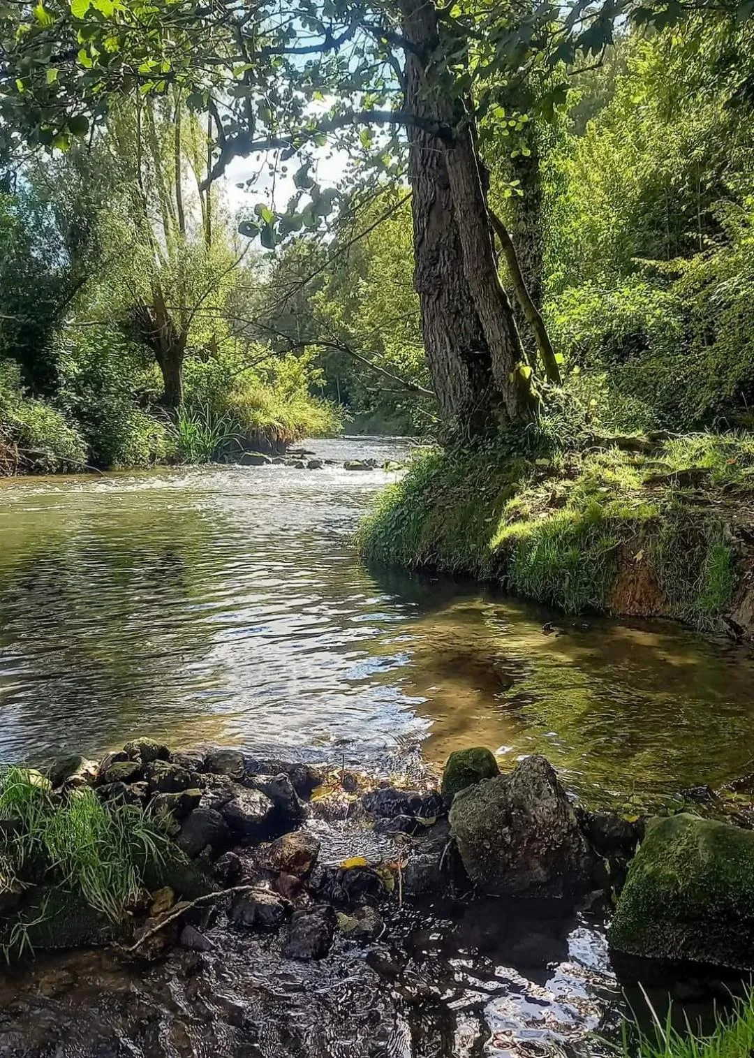 River view in Geulzicht Hotel