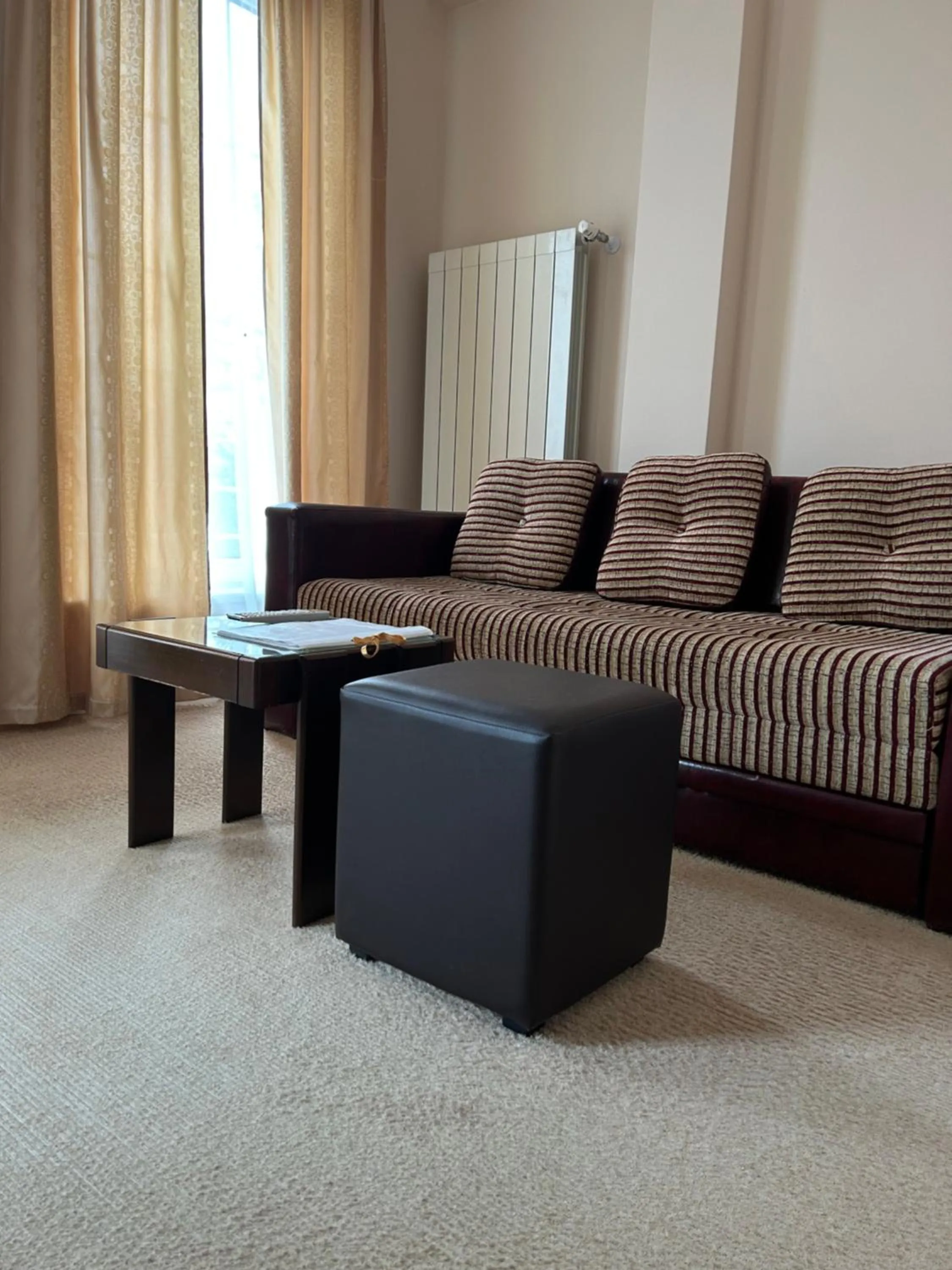 Living room in Vila Vidikovac Arandjelovac