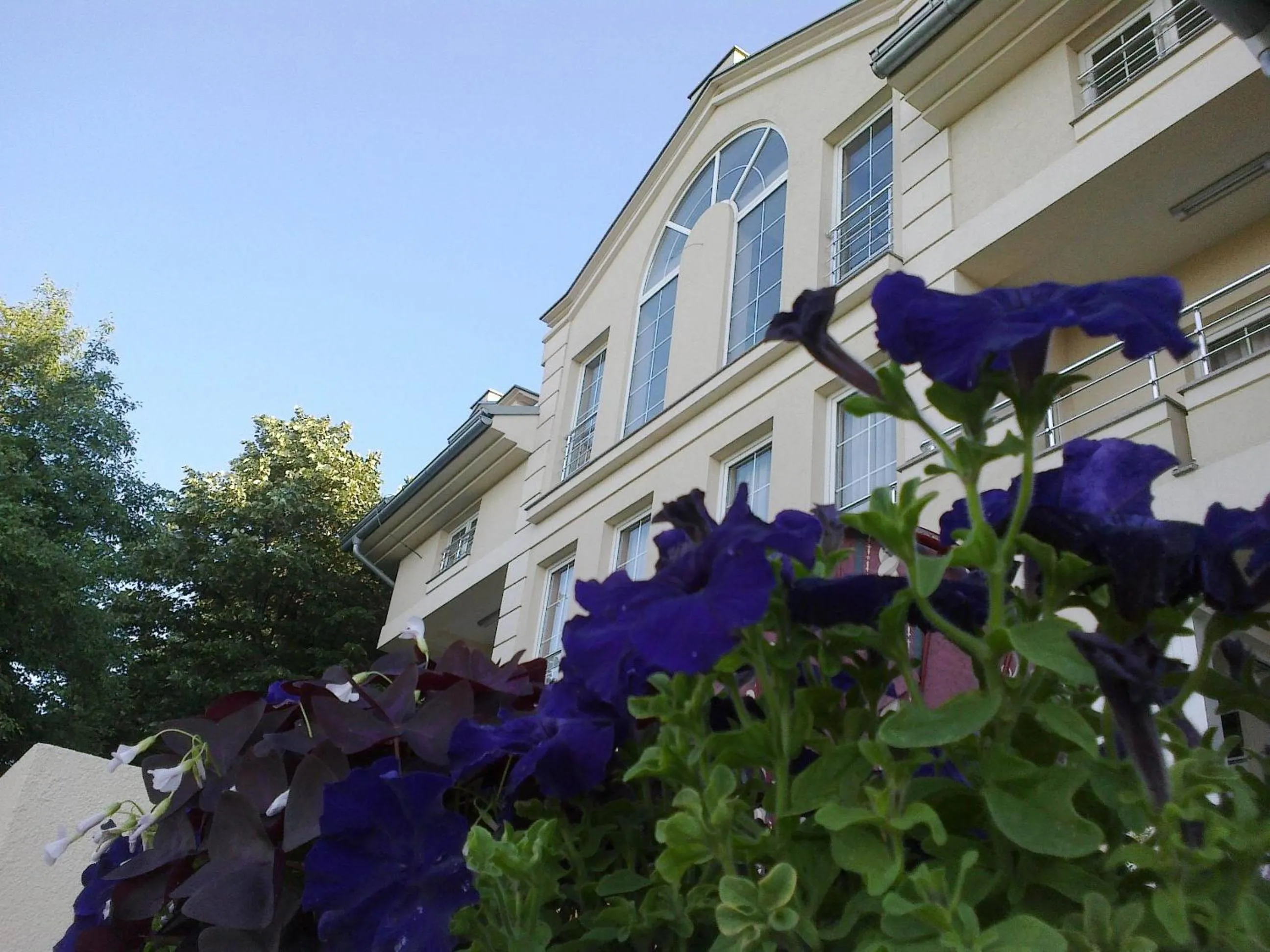 Property building in Vila Vidikovac Arandjelovac