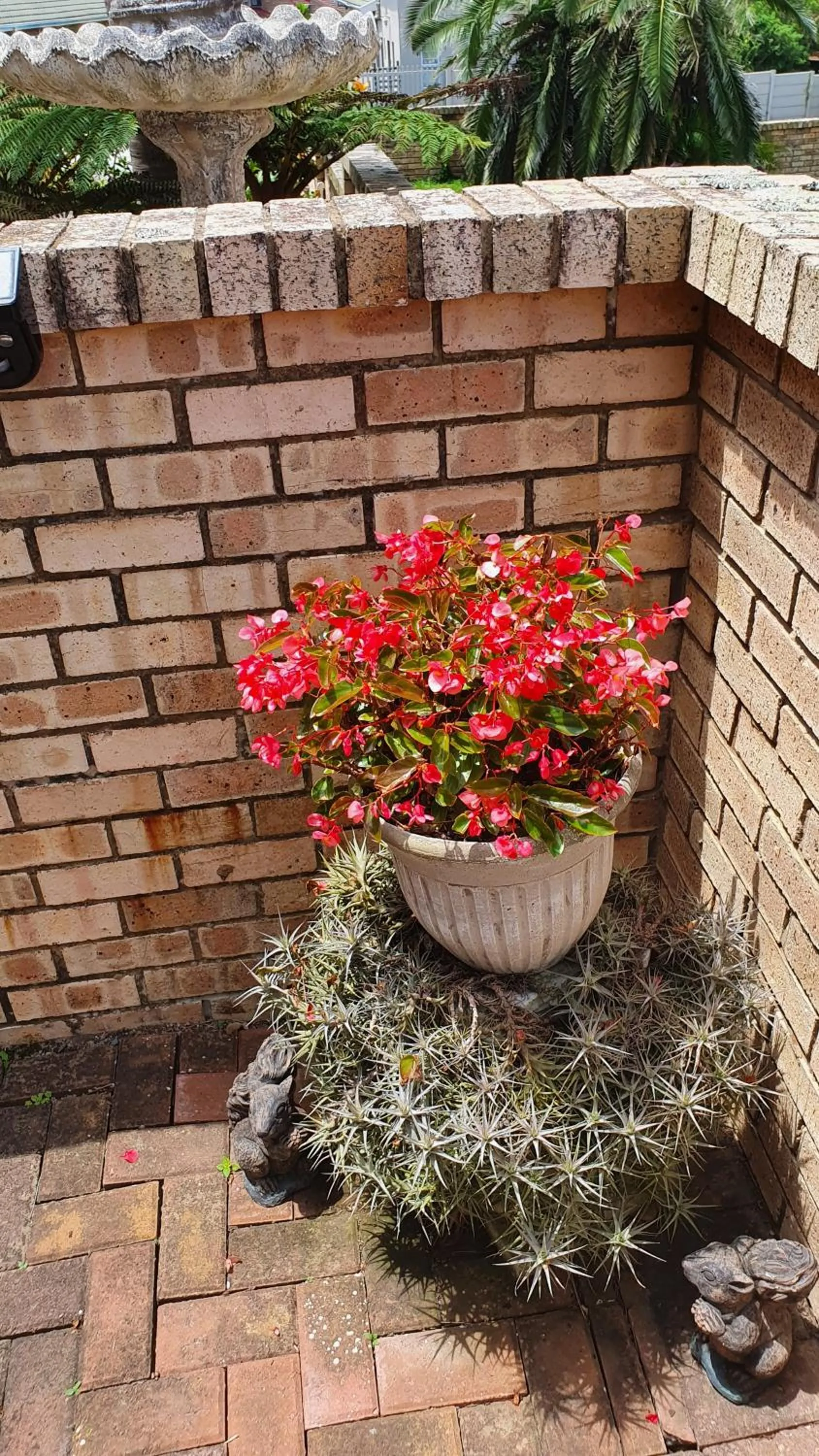 Garden in Villa Majestic for Exclusive Accommodation