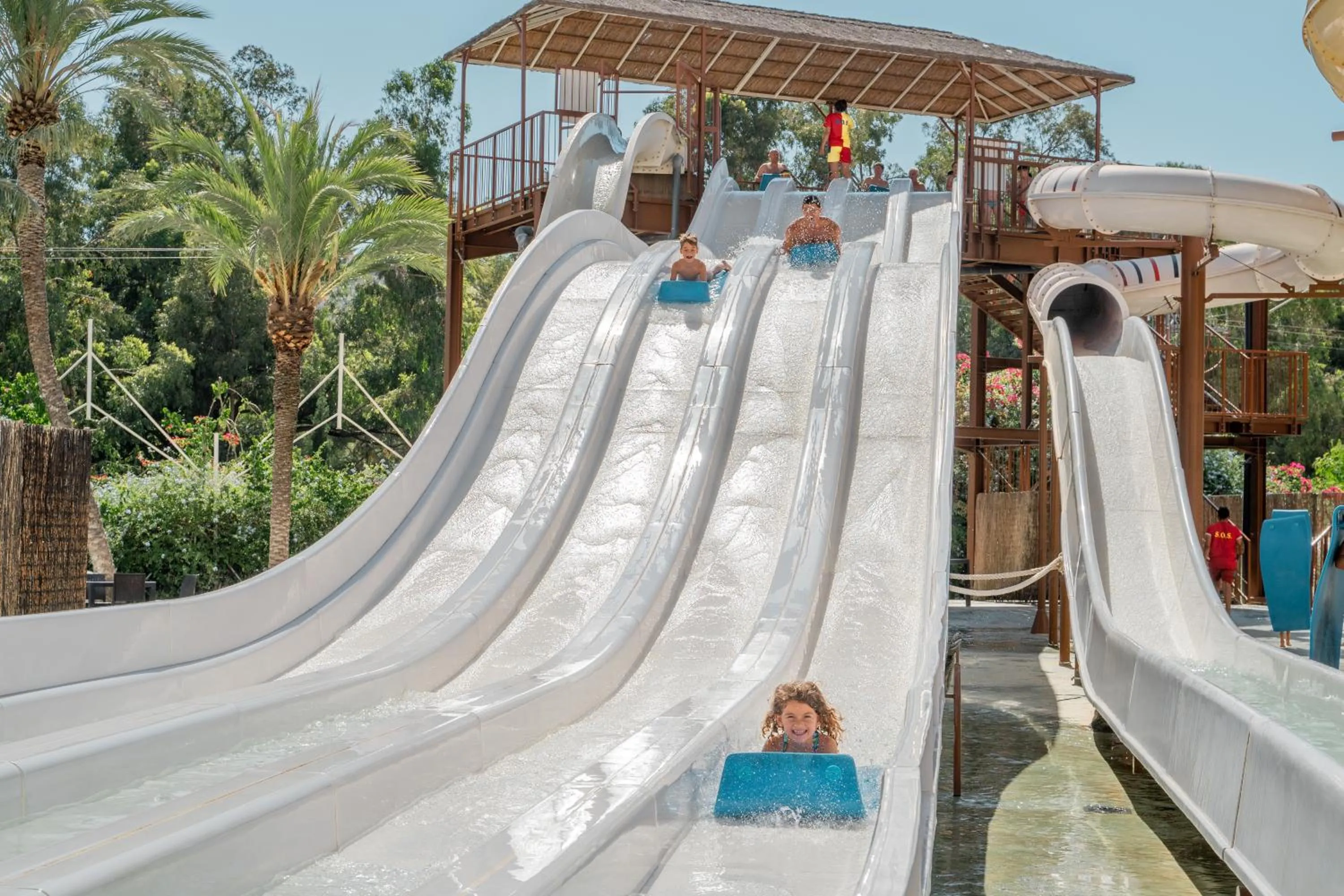 Magic Tropical Splash