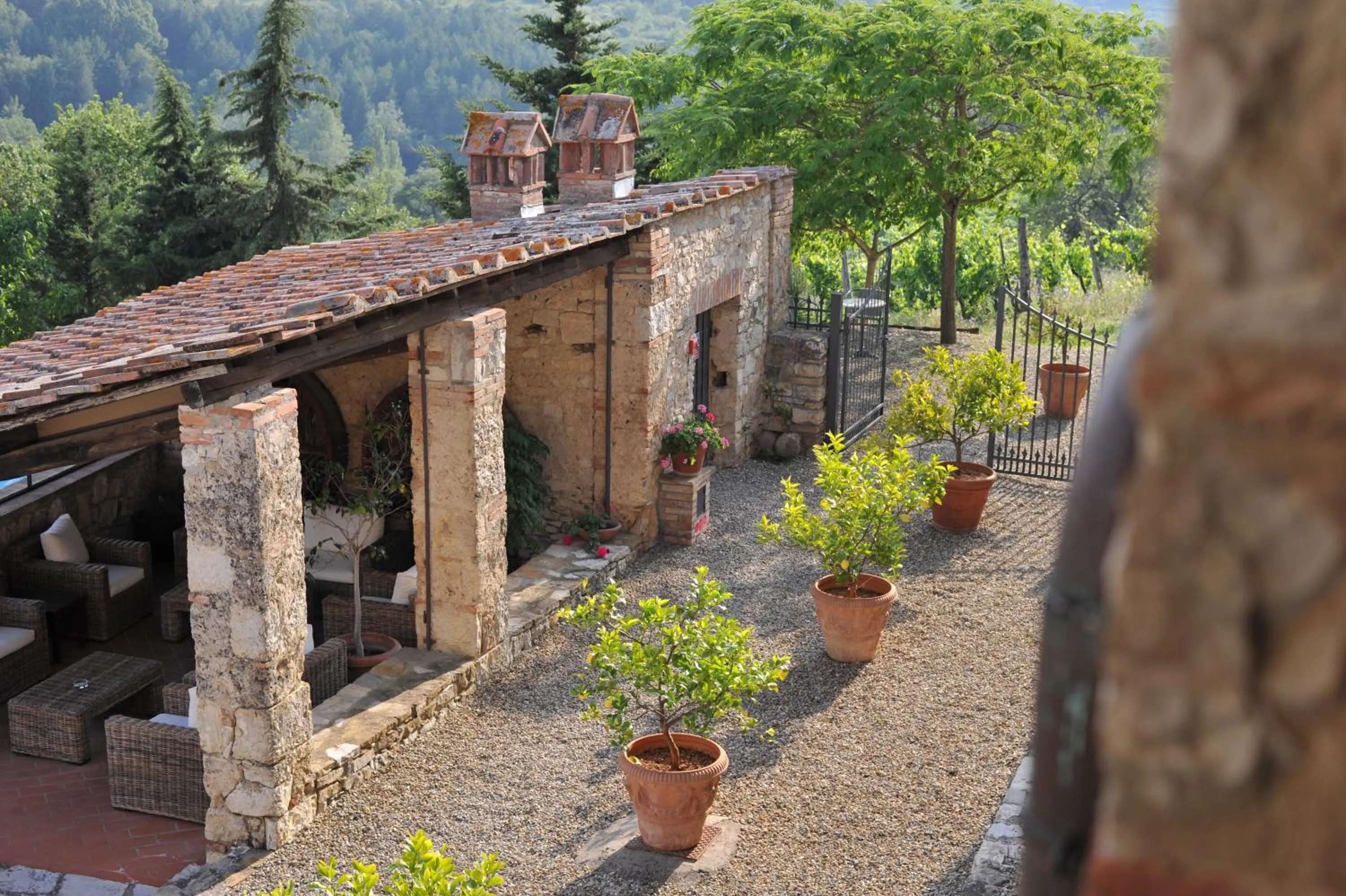 Garden in Collelungo
