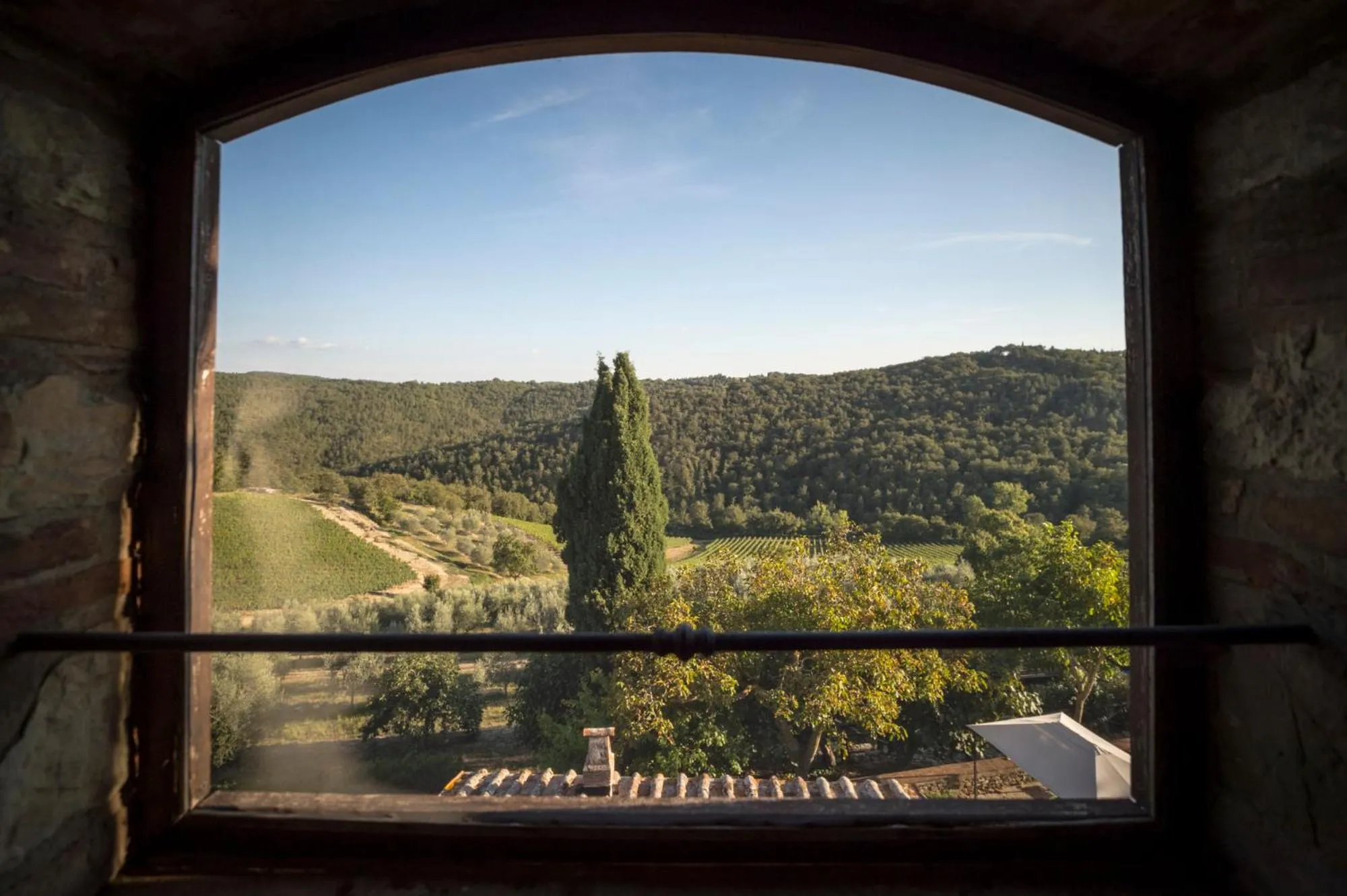 View (from property/room) in Collelungo