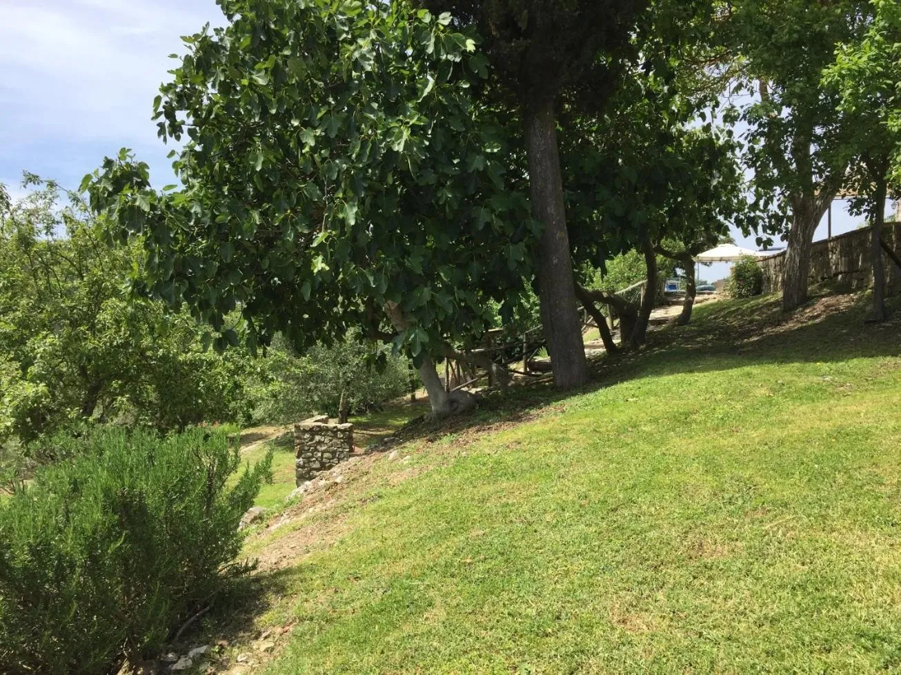 Garden in Collelungo