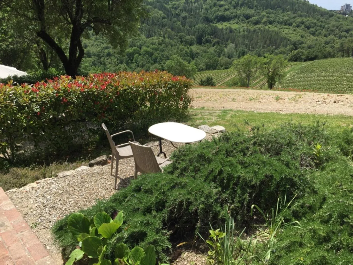 Garden in Collelungo