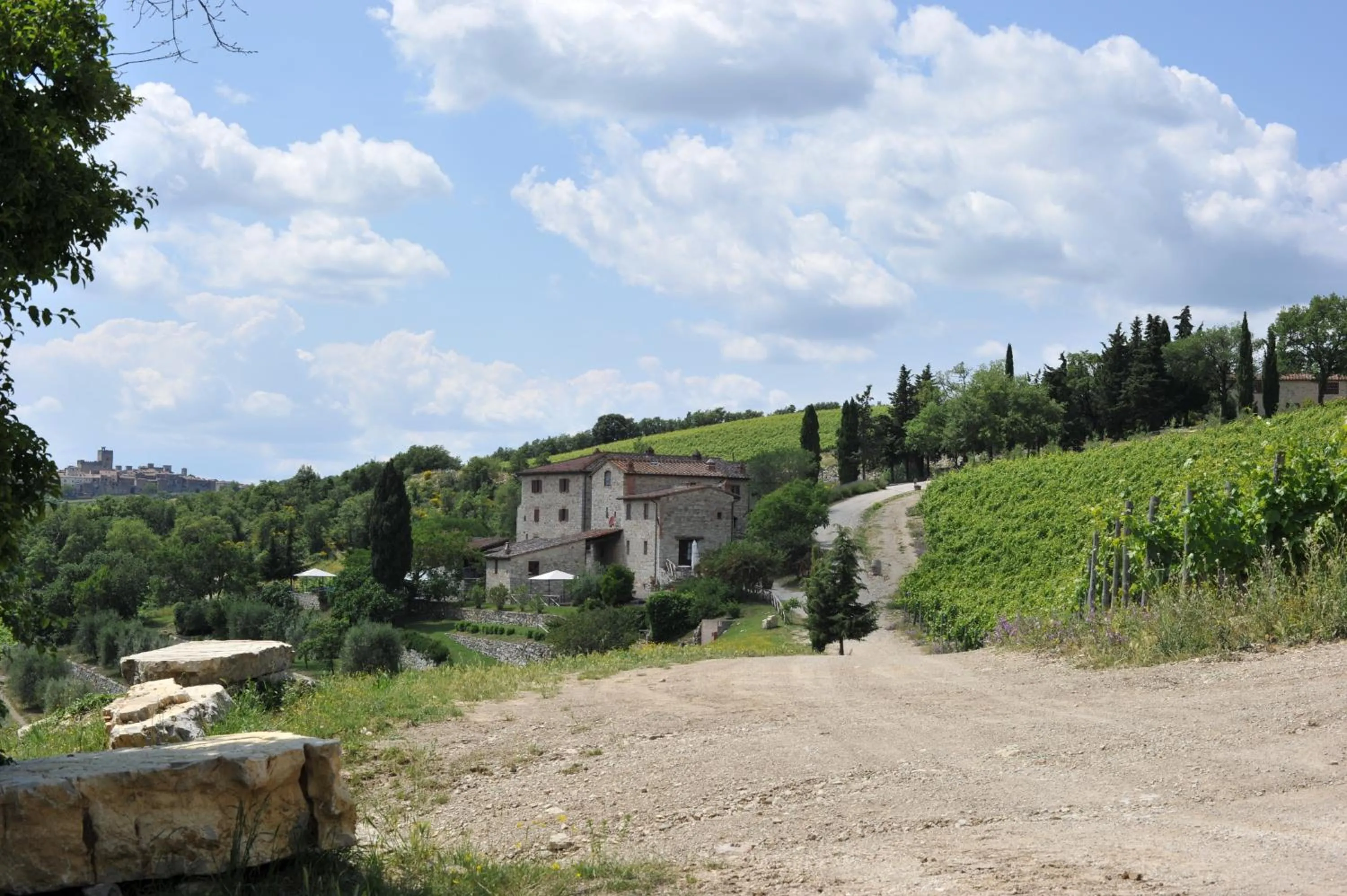 View (from property/room) in Collelungo