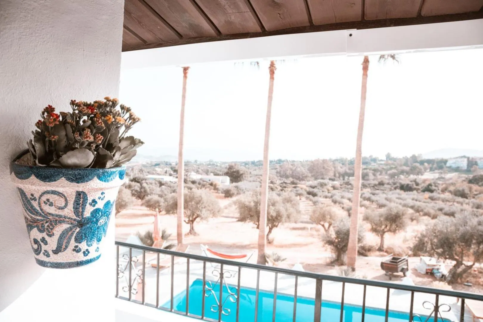 Pool View in Finca Besito