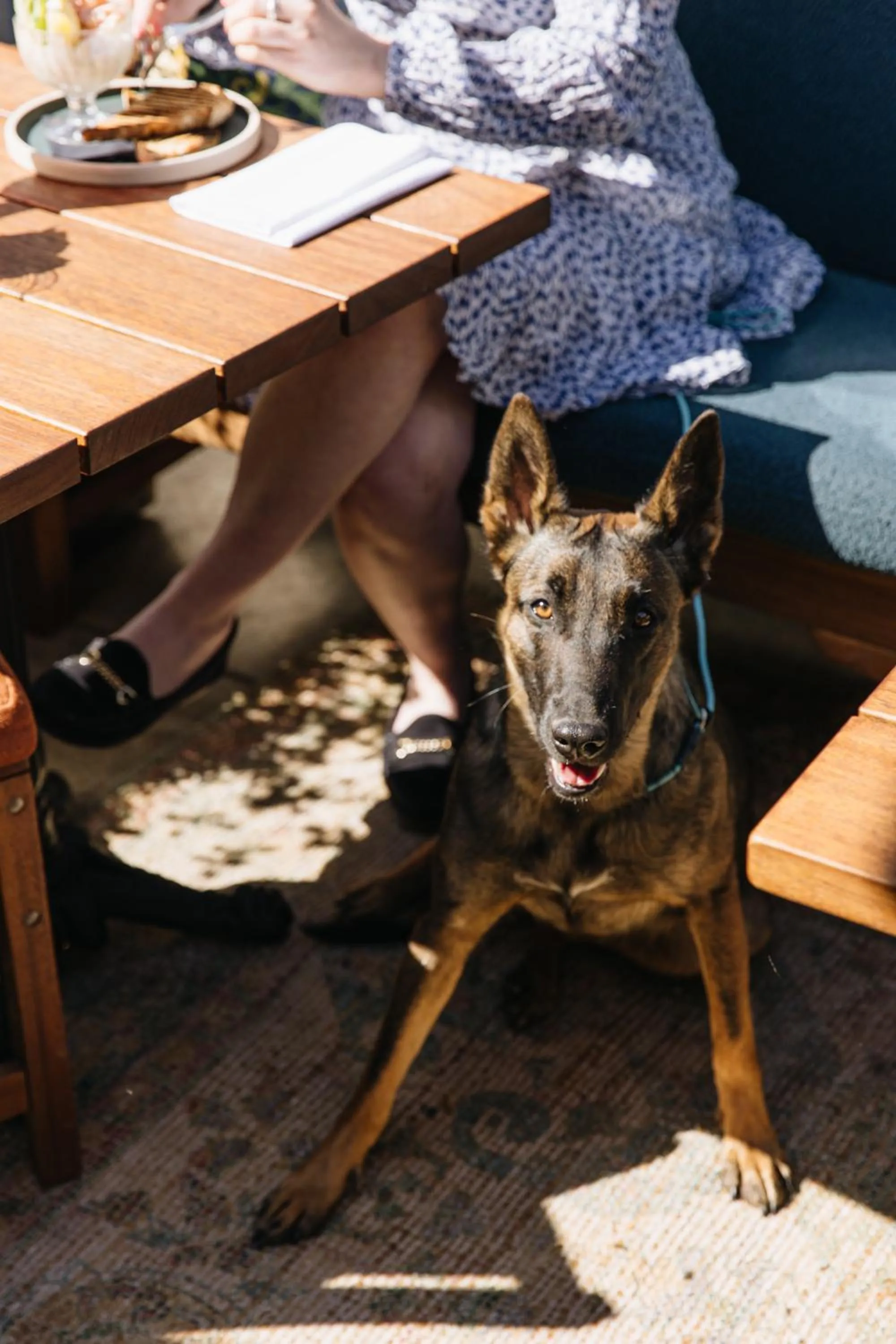 Restaurant/places to eat in The Wheatsheaf Inn