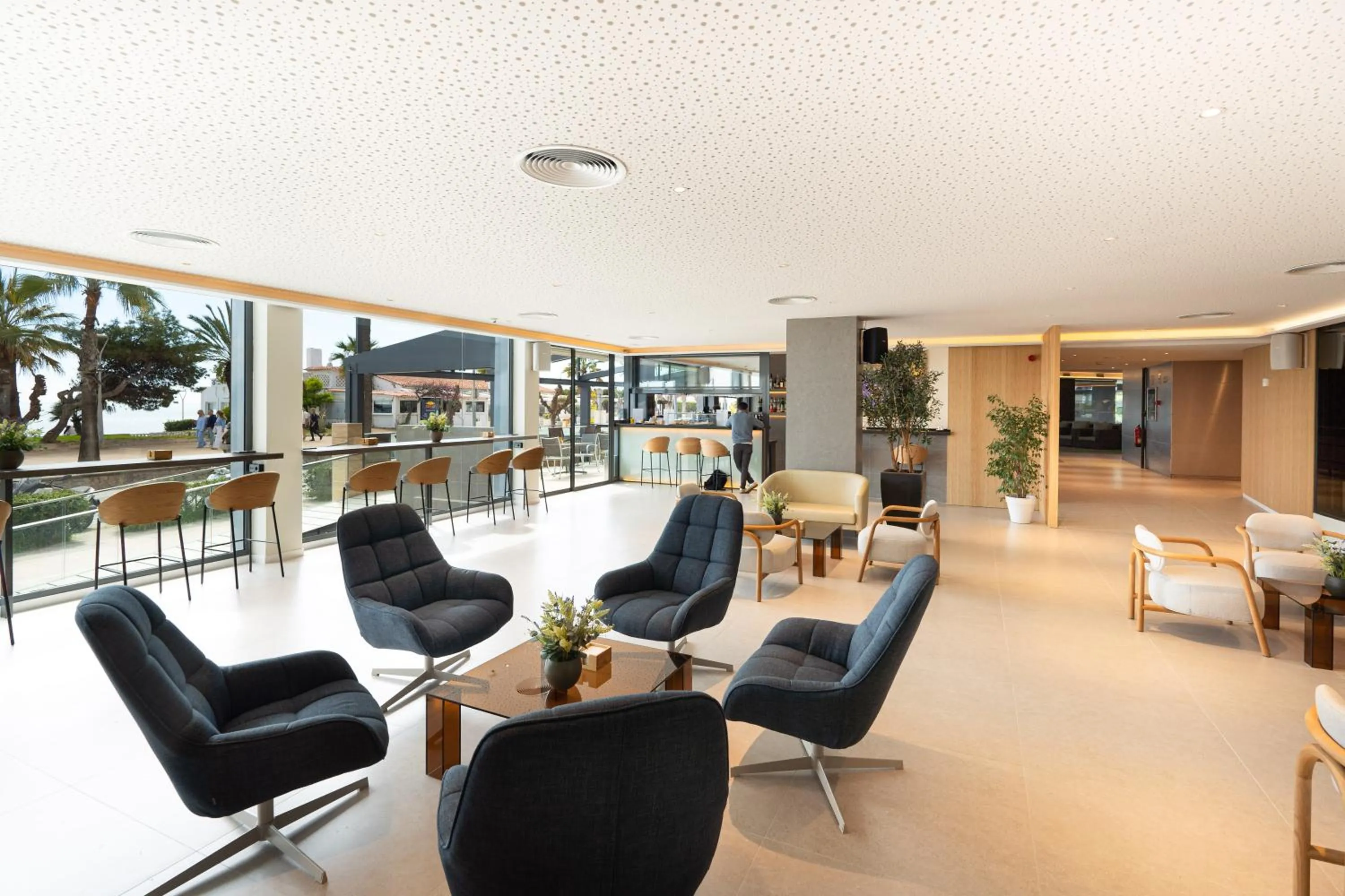 Lounge or bar in Calipolis