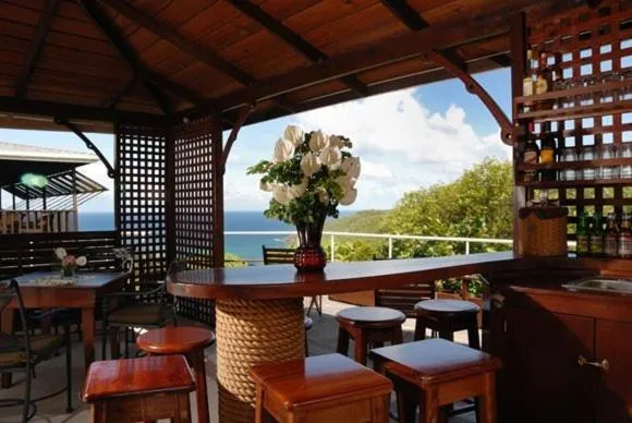 Lounge or bar in Spring Hotel Bequia