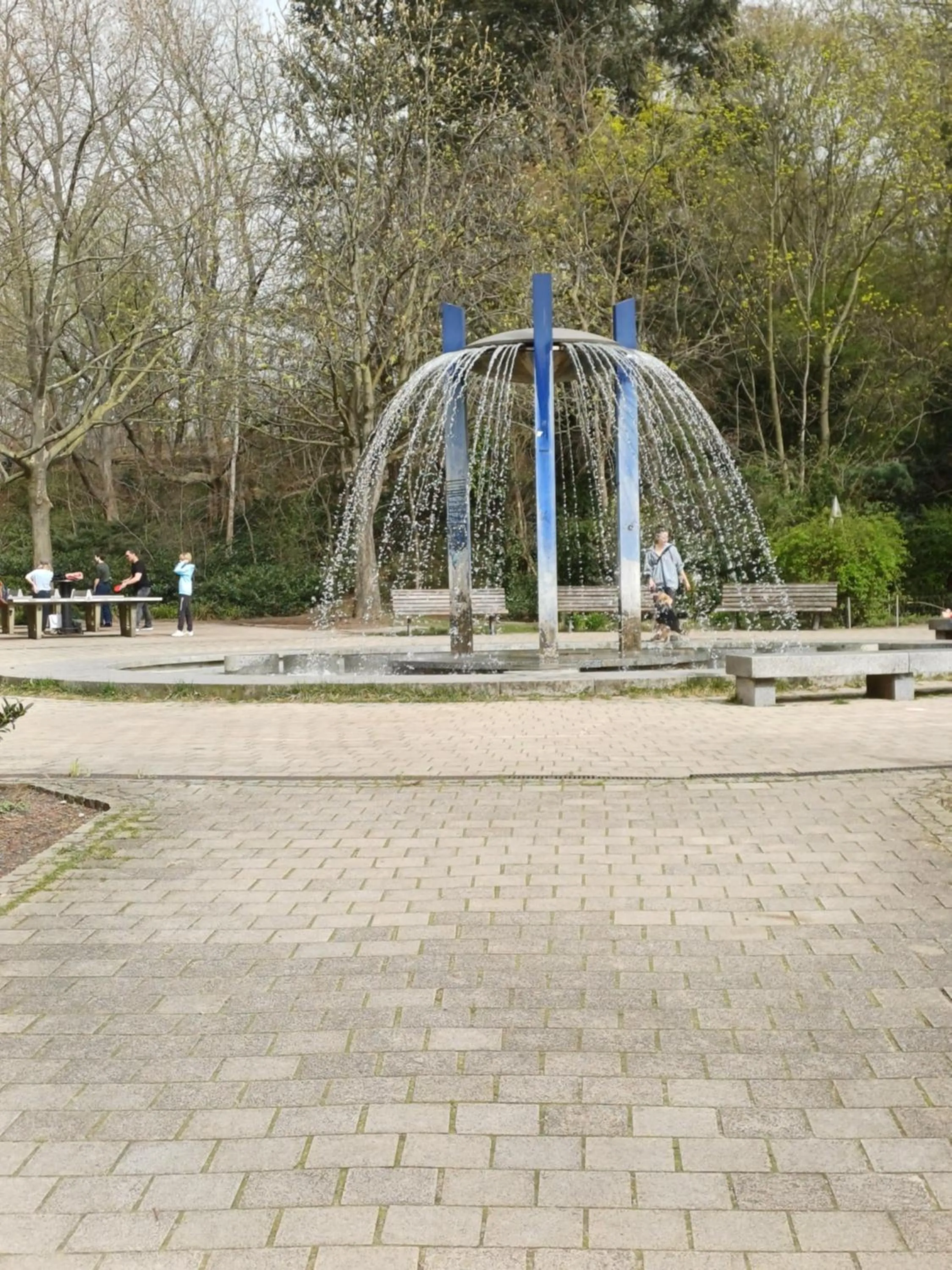 Natural landscape in Park & City Alex