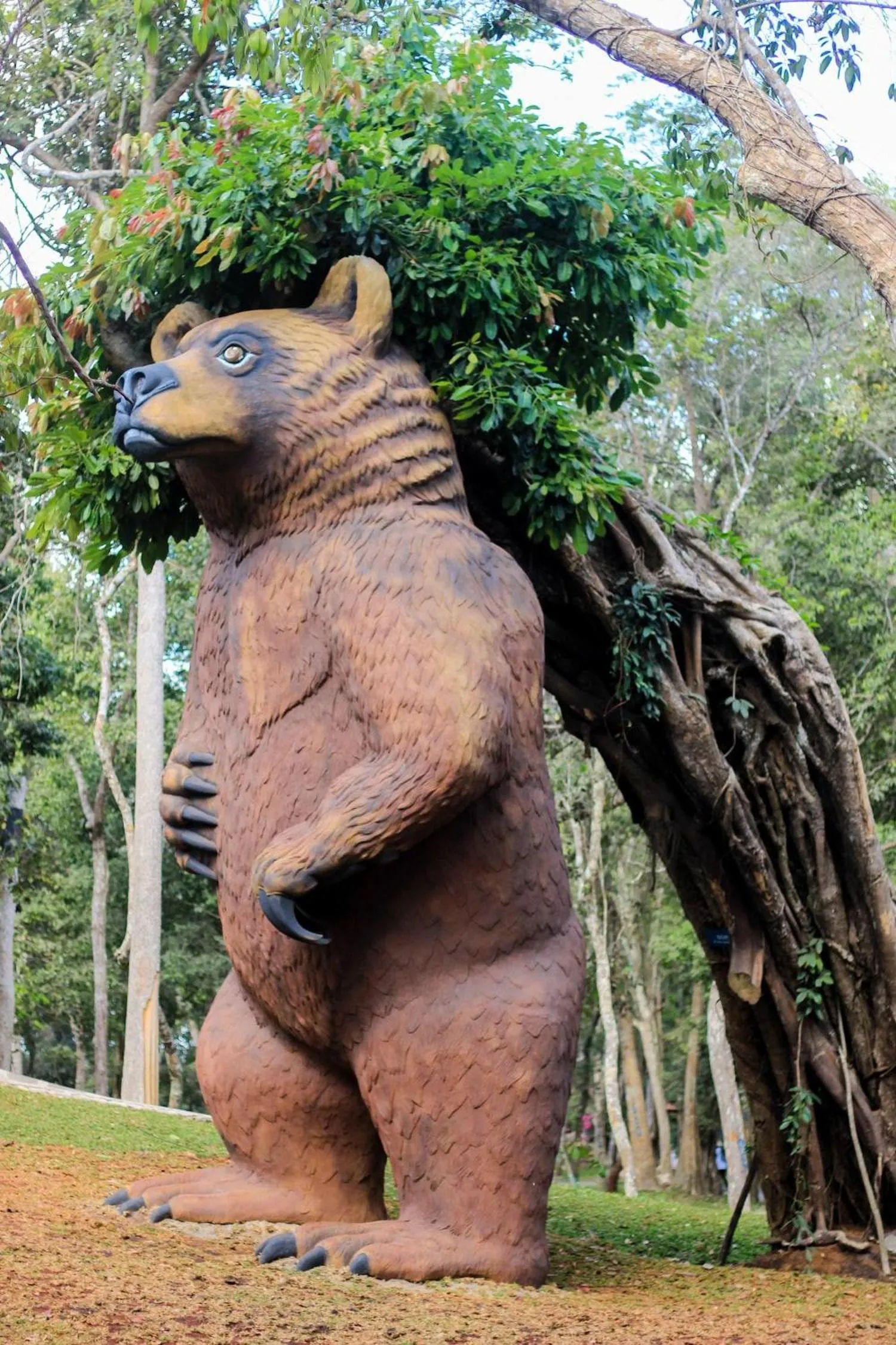 Activities in Minera Hot Springs Binh Chau