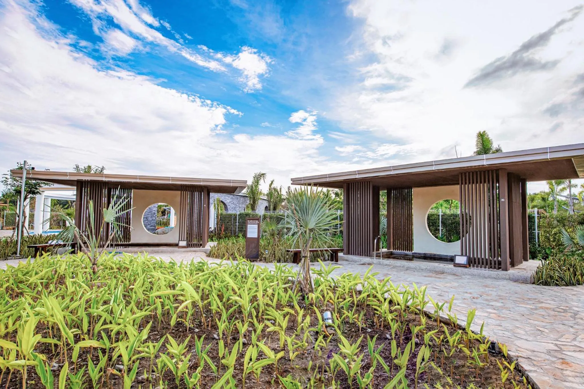Hot Spring Bath in Minera Hot Springs Binh Chau
