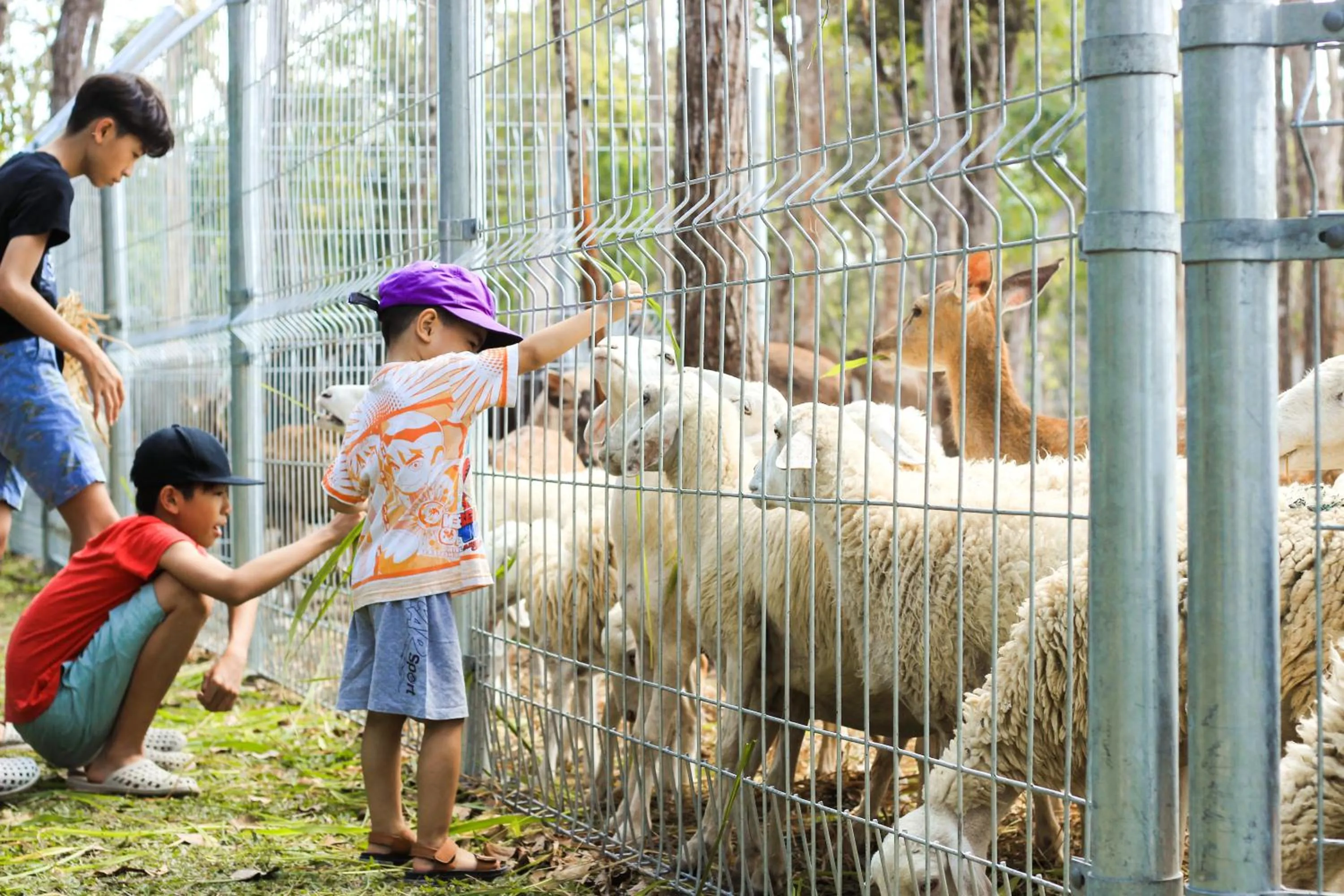 Activities in Minera Hot Springs Binh Chau