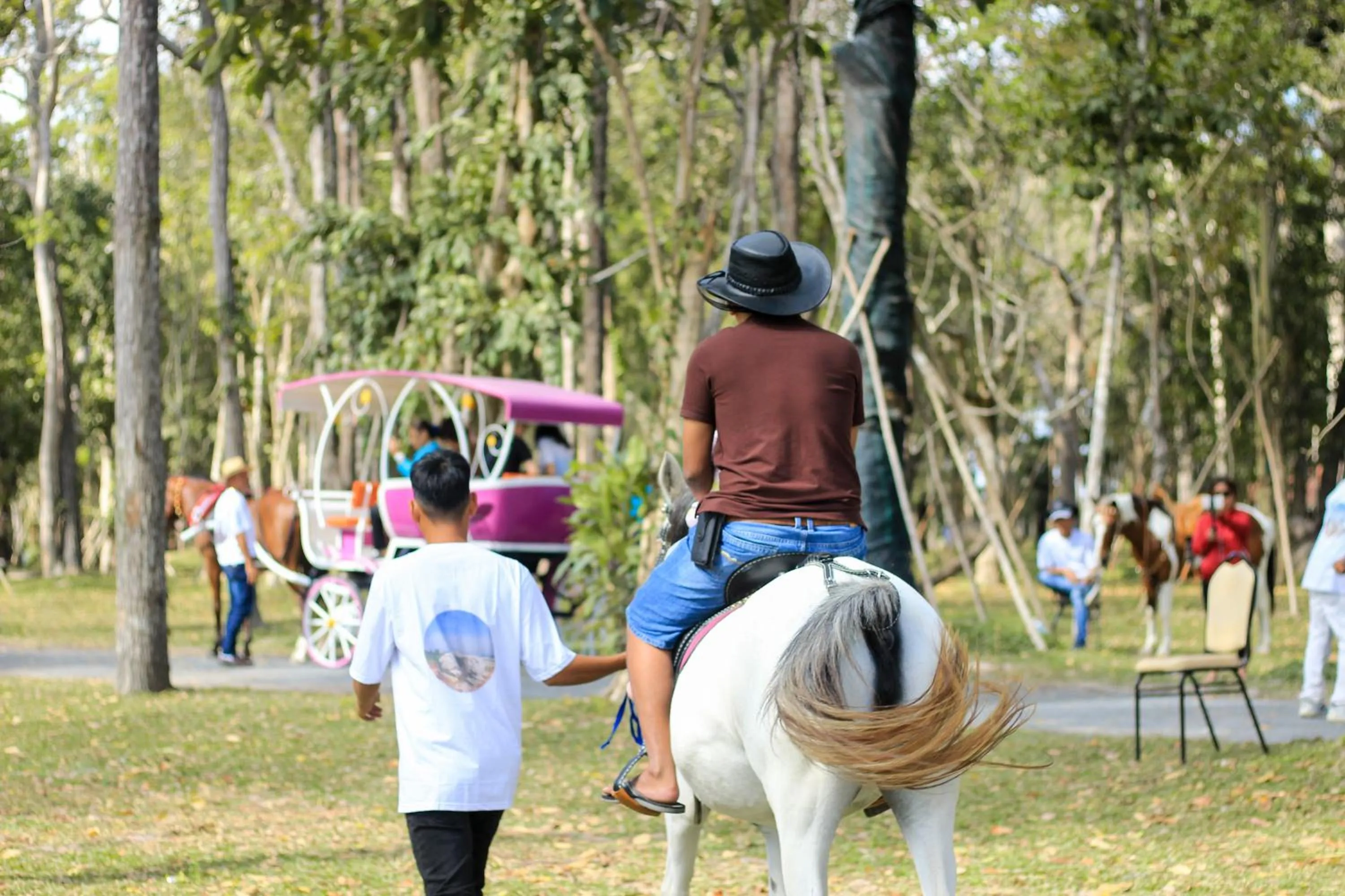 Entertainment in Minera Hot Springs Binh Chau