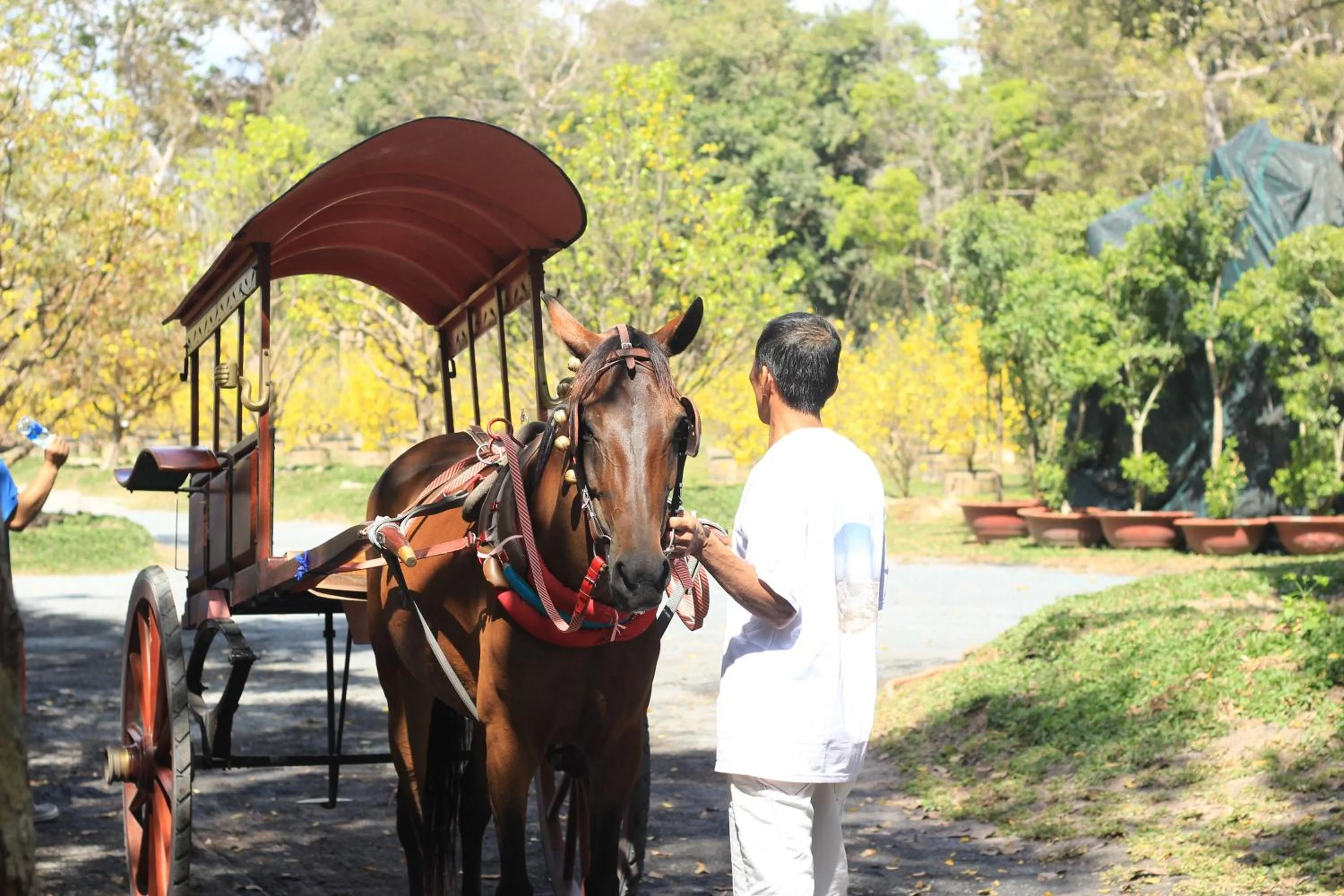 Horse-riding in Minera Hot Springs Binh Chau