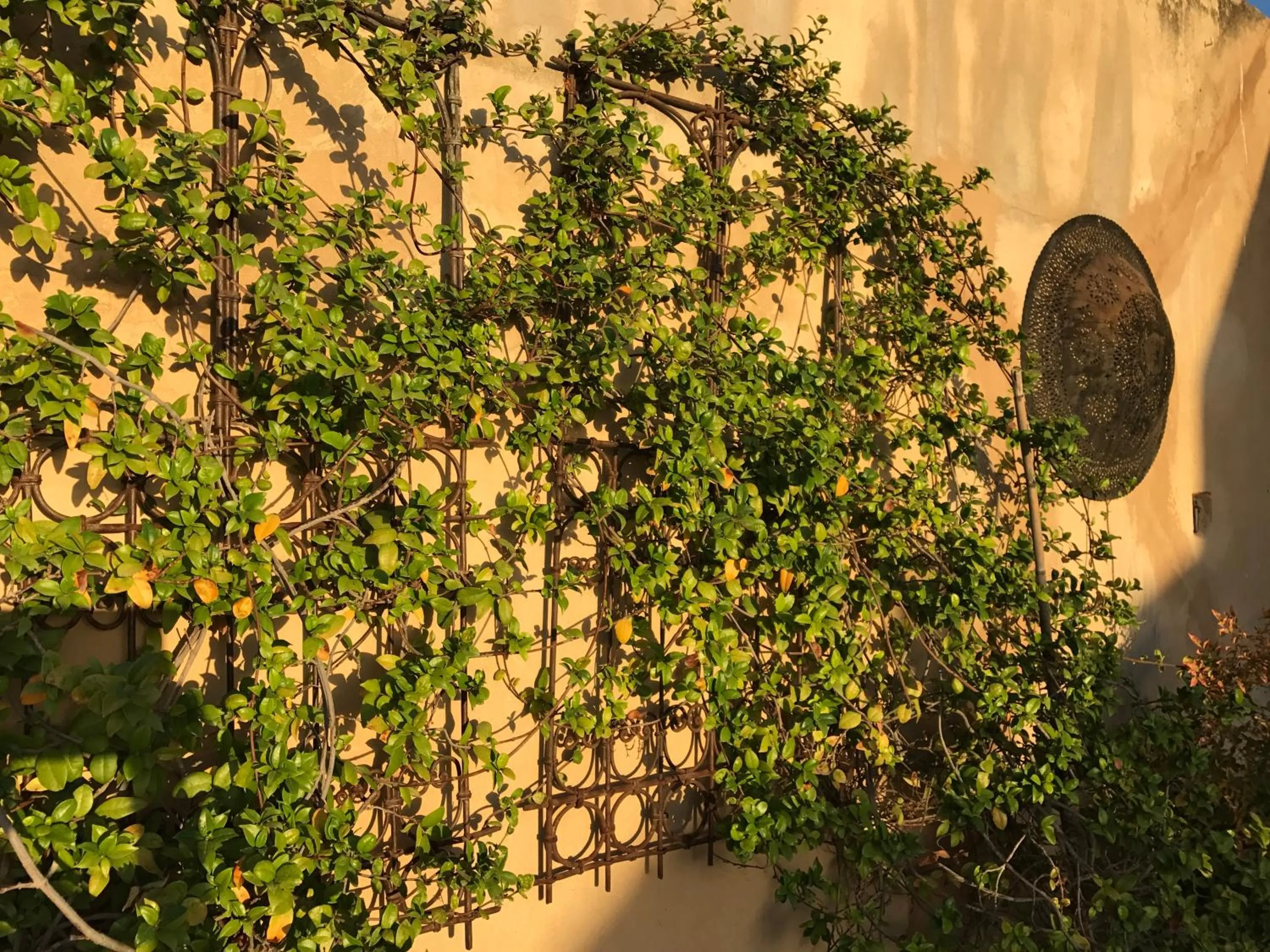 Patio in Dar 7 Louyat