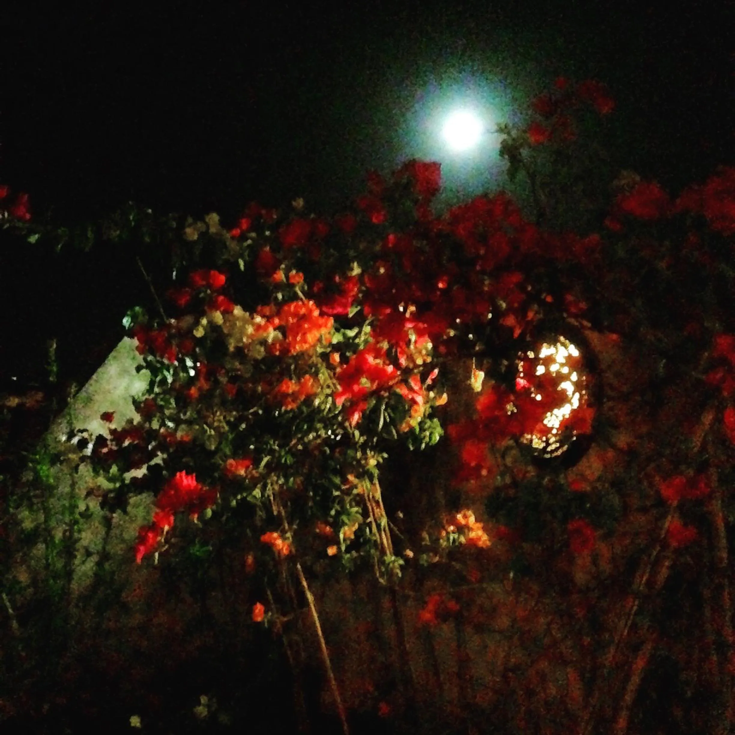 Patio in Dar 7 Louyat