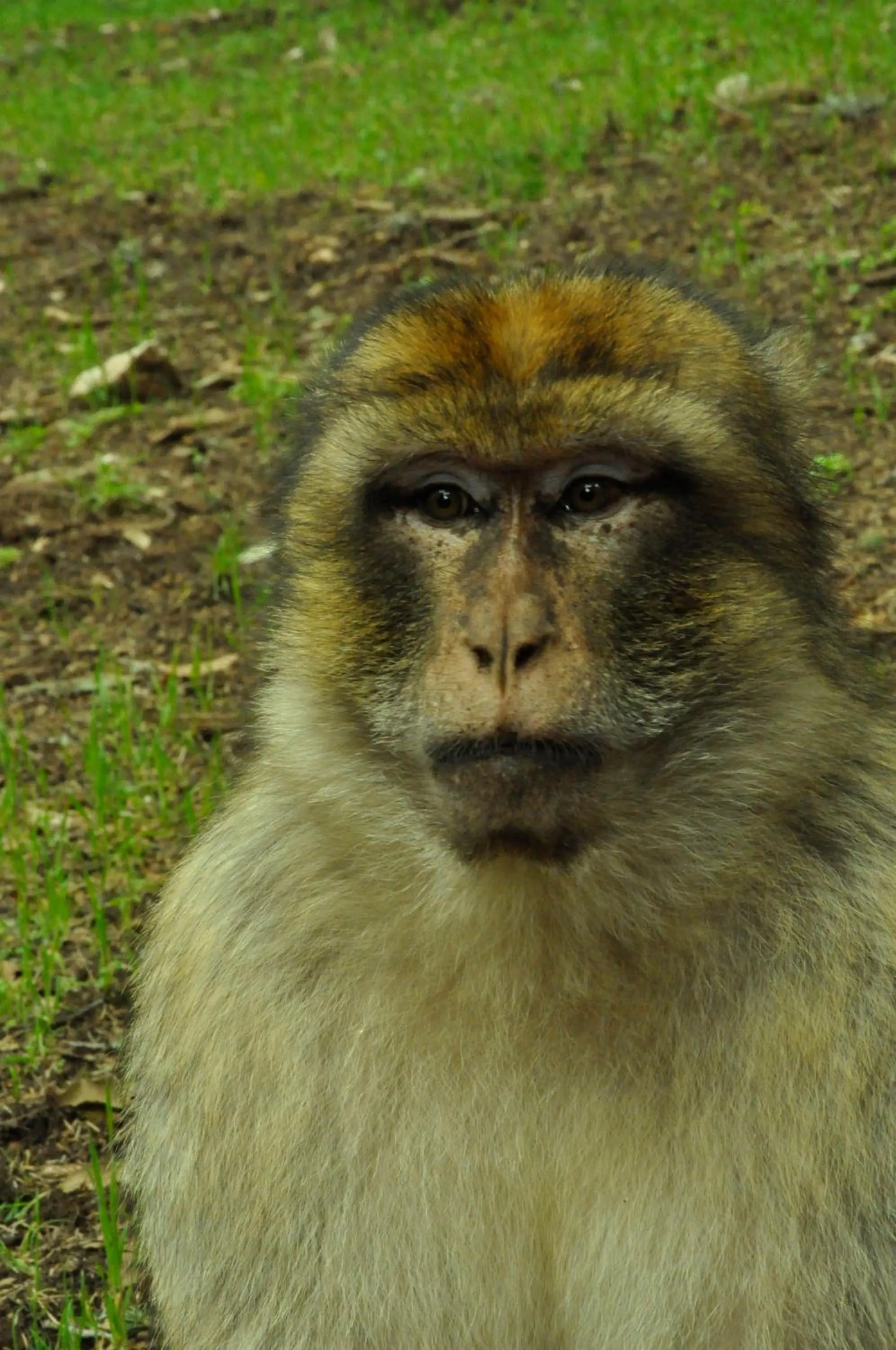 Hiking in Dar 7 Louyat