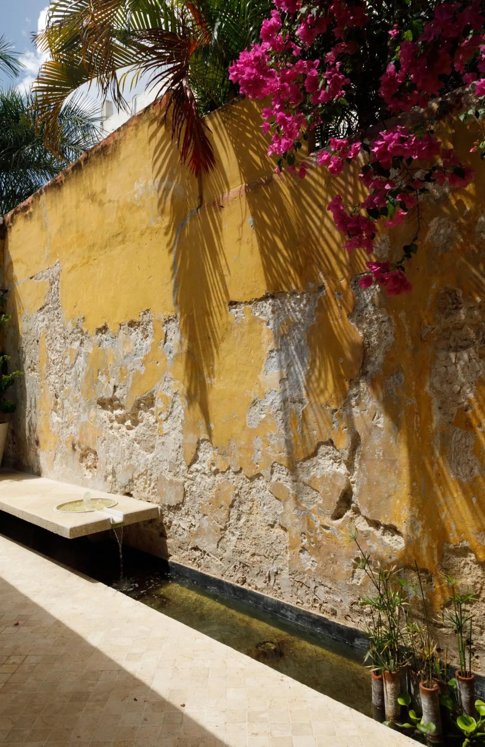 Garden view in Las Lupitas Hotel Boutique