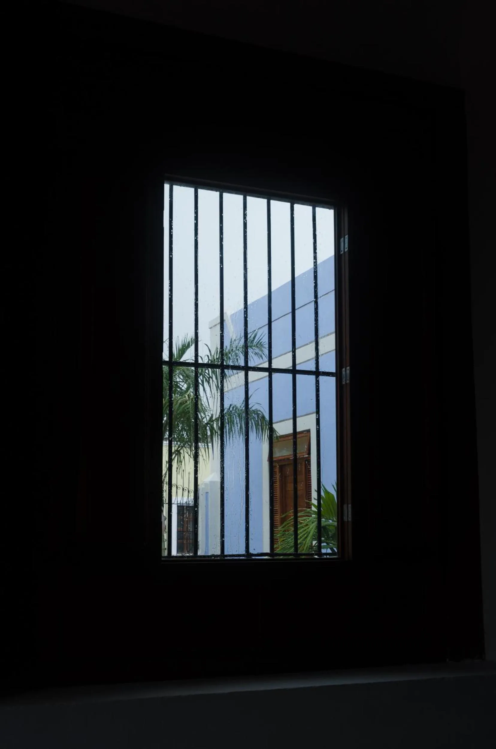 Garden view in Las Lupitas Hotel Boutique